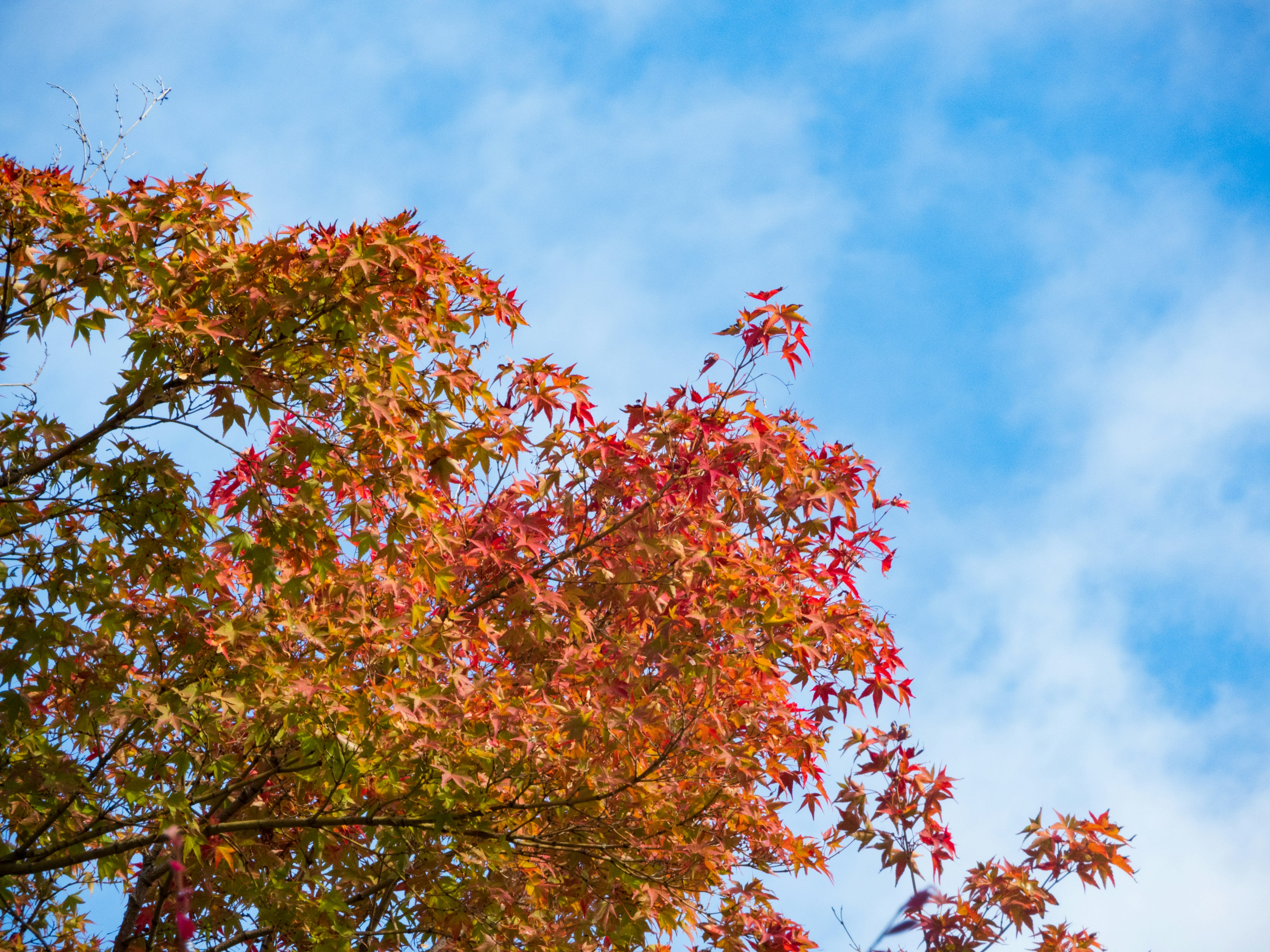 Photo by heppoko_yama