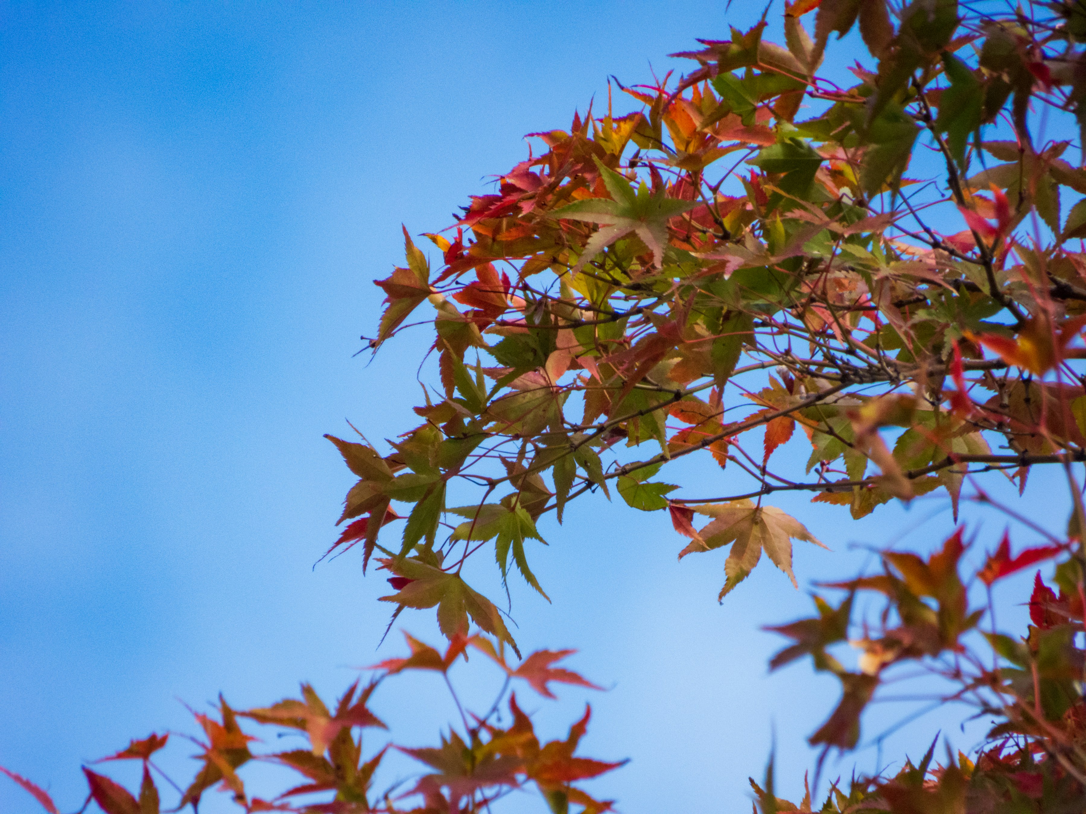 Photo by heppoko_yama