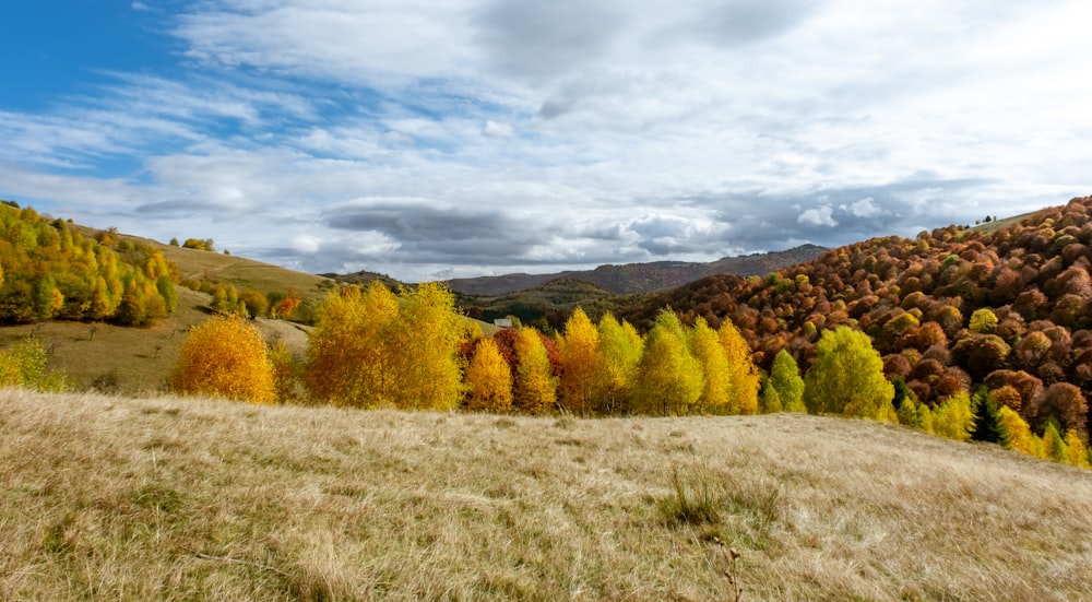 a grassy field with trees and mountains in the background