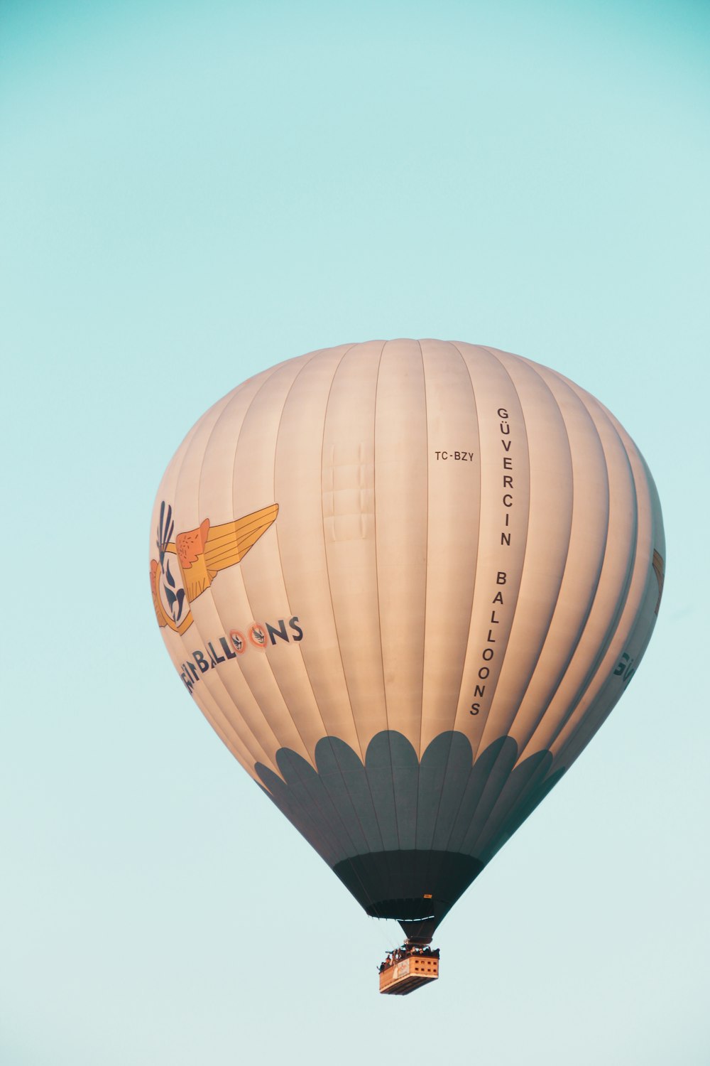 Ein Heißluftballon fliegt am Himmel