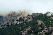 a very tall mountain with a lot of trees on top of it