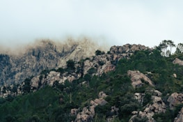 a very tall mountain with a lot of trees on top of it