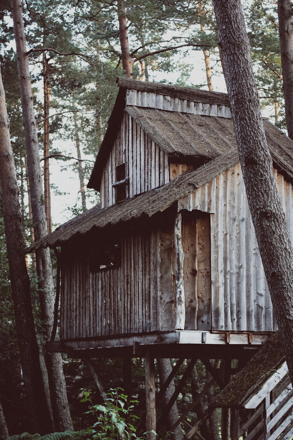 a tree house in the middle of the woods