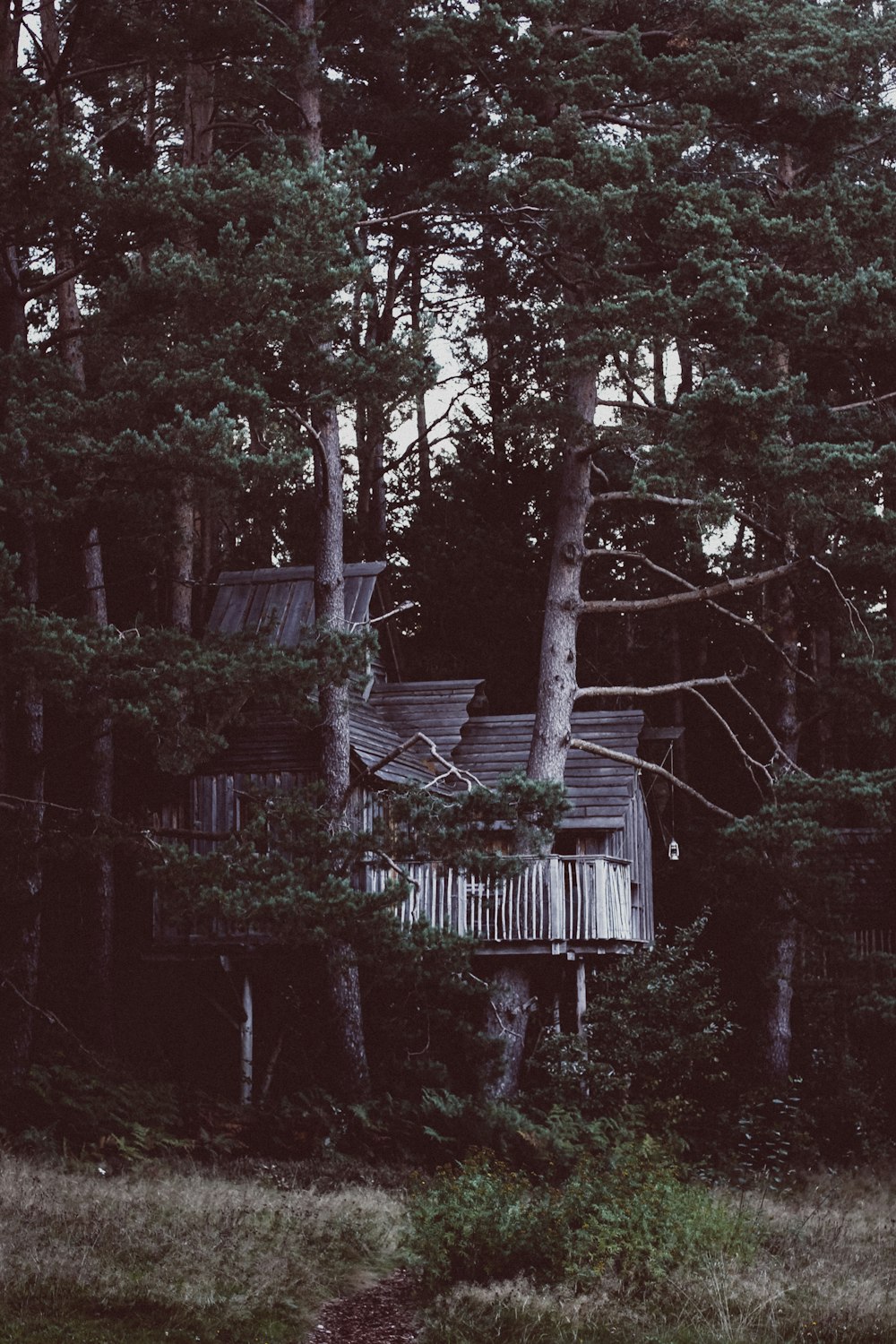 a tree house in the middle of a forest