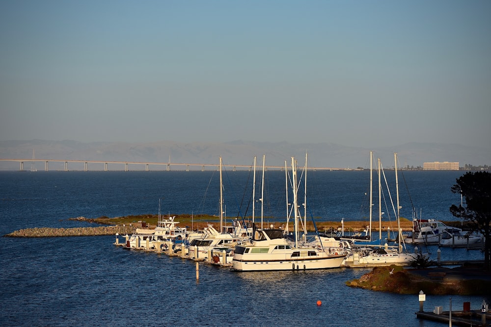 a bunch of boats that are sitting in the water