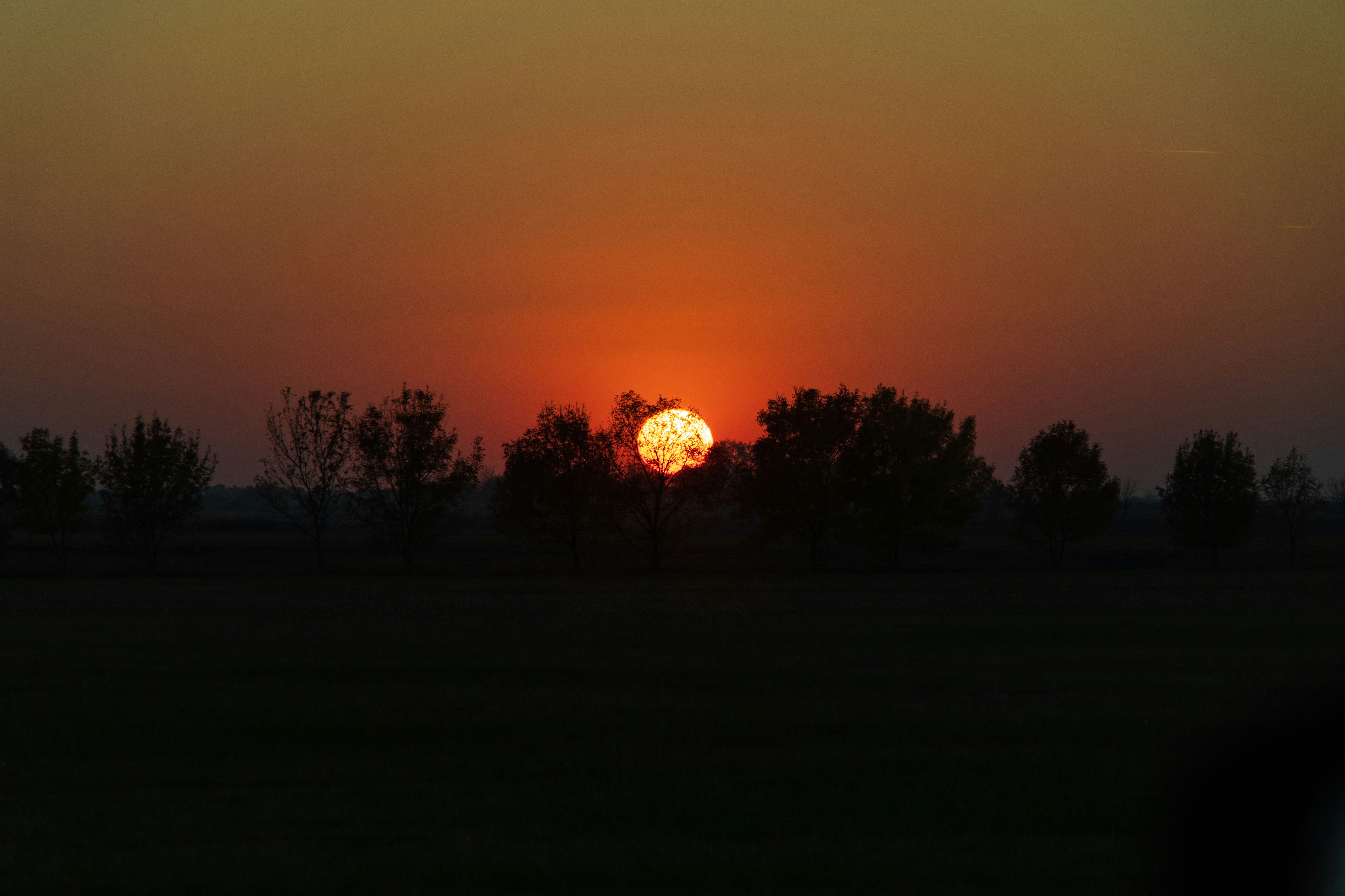 Friday Notes #36 — A Real Farewell