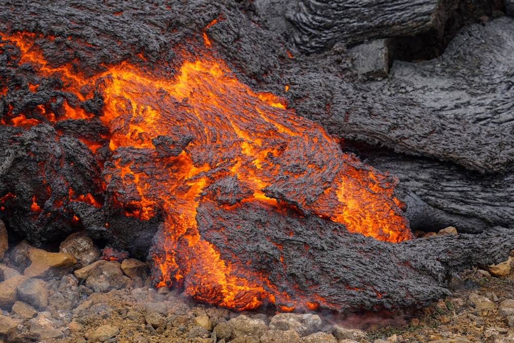 a close up of a fire in the ground