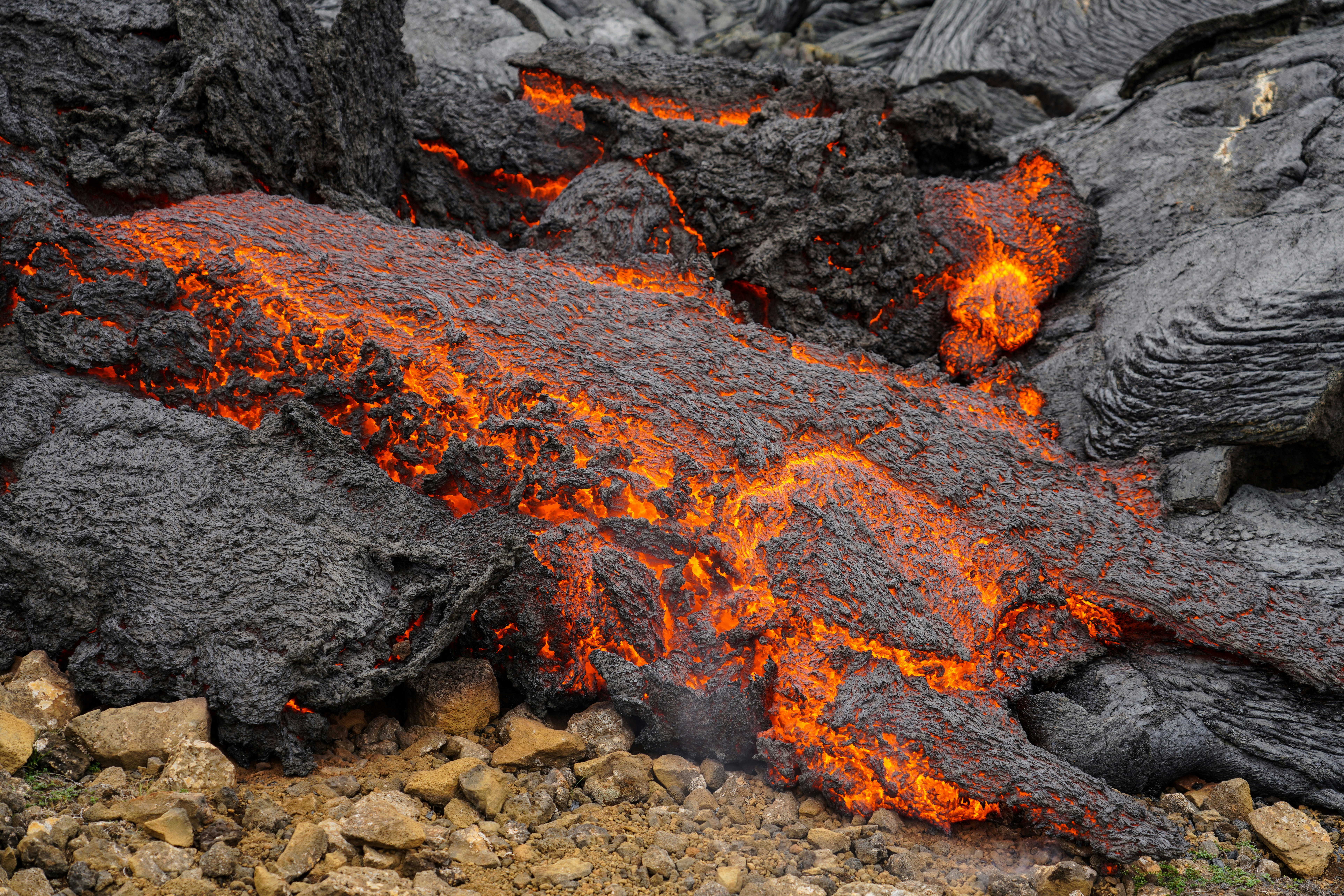 The Chemical Symphony Beneath Our Feet (image credits: unsplash)