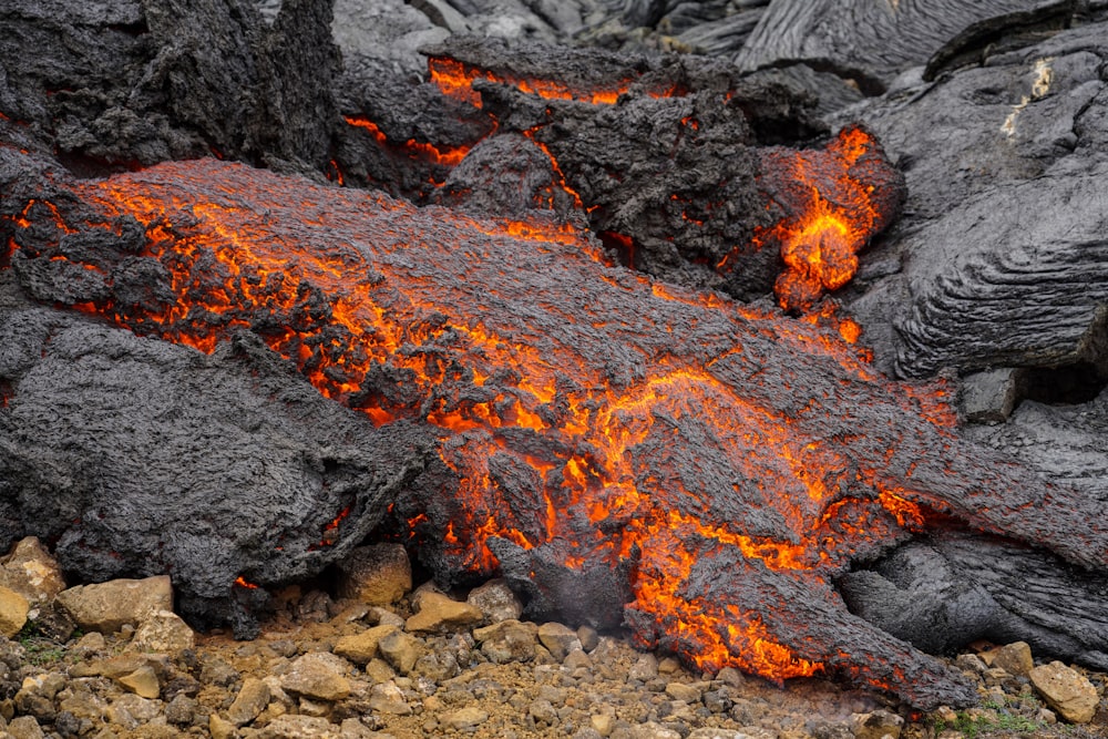 a close up of a large piece of lava in the ground