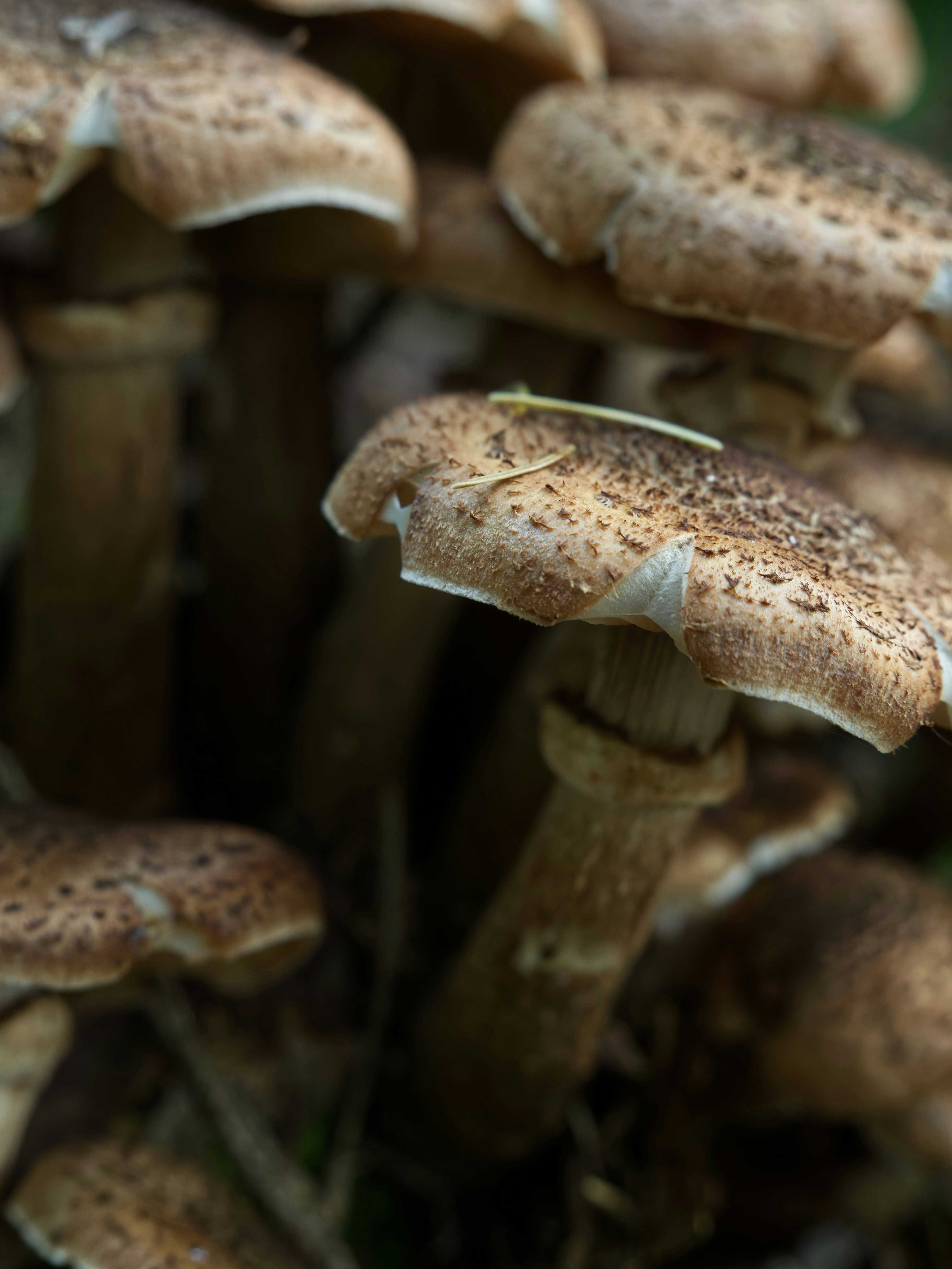 Photo by illes_cristi