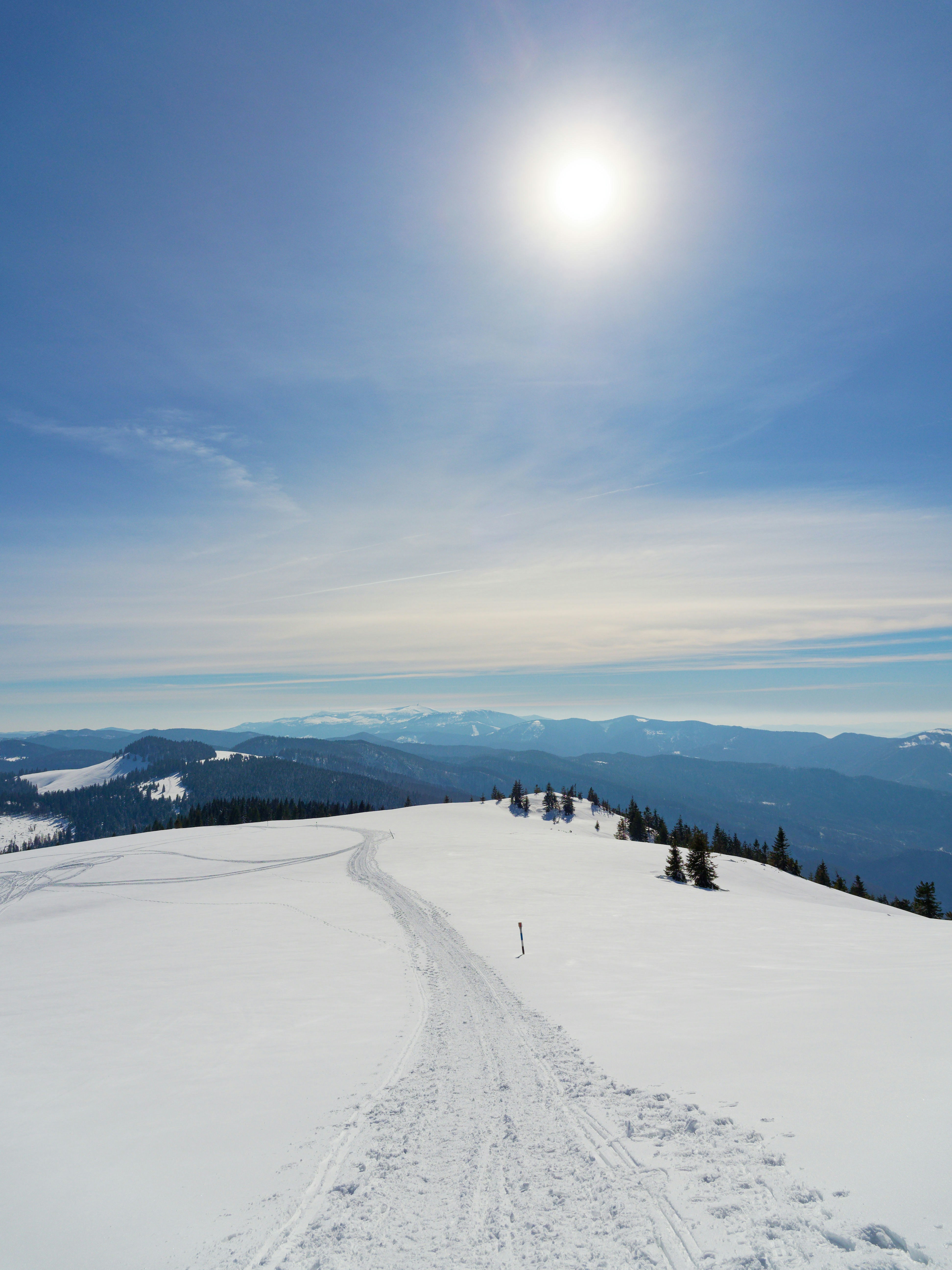 Photo by illes_cristi