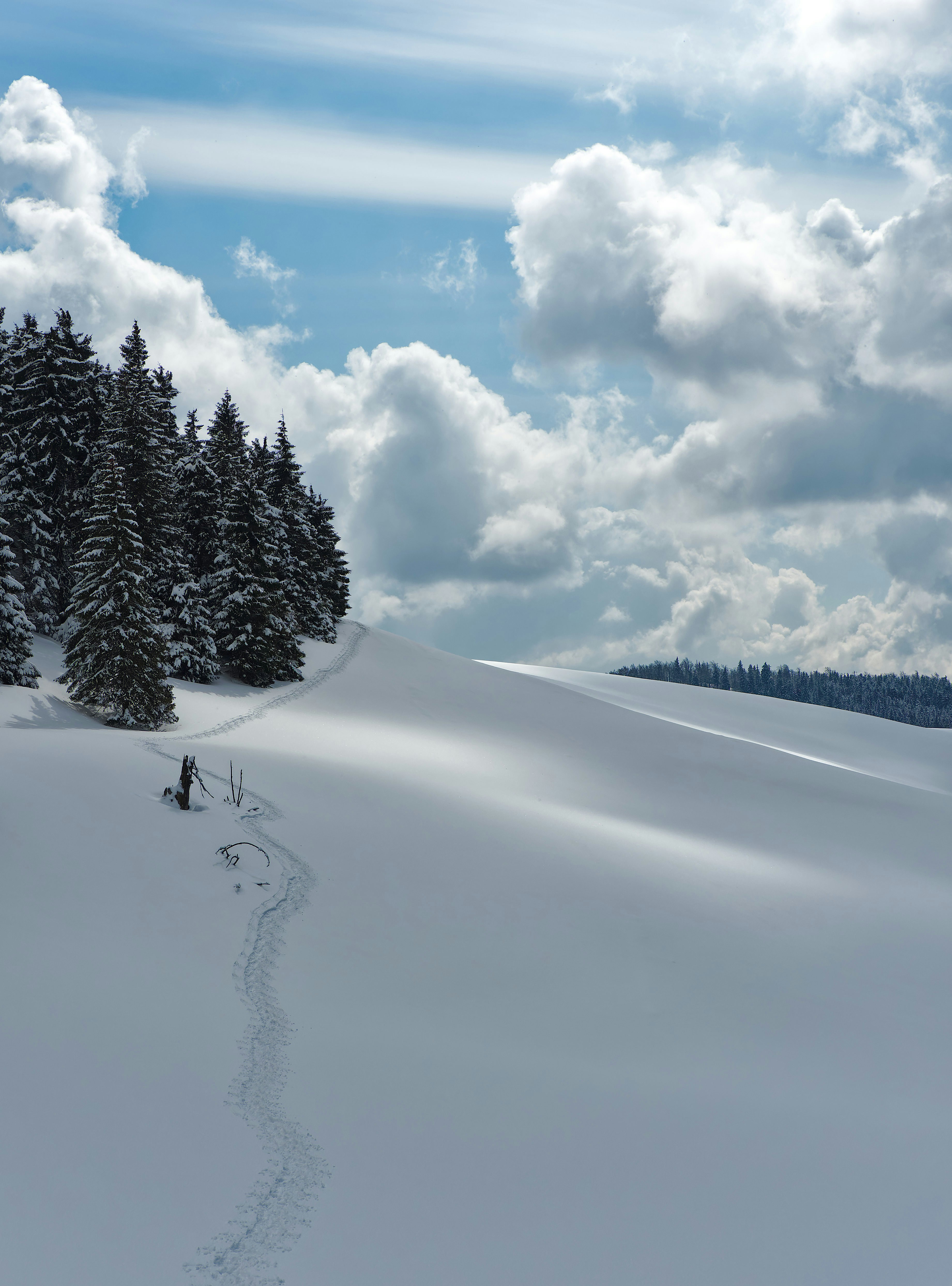 Photo by illes_cristi