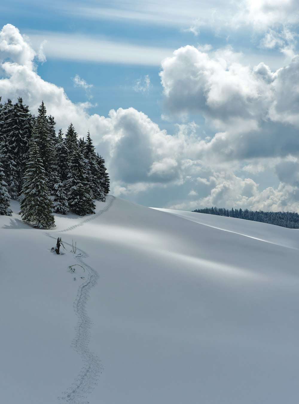 Una persona caminando a través de un campo cubierto de nieve