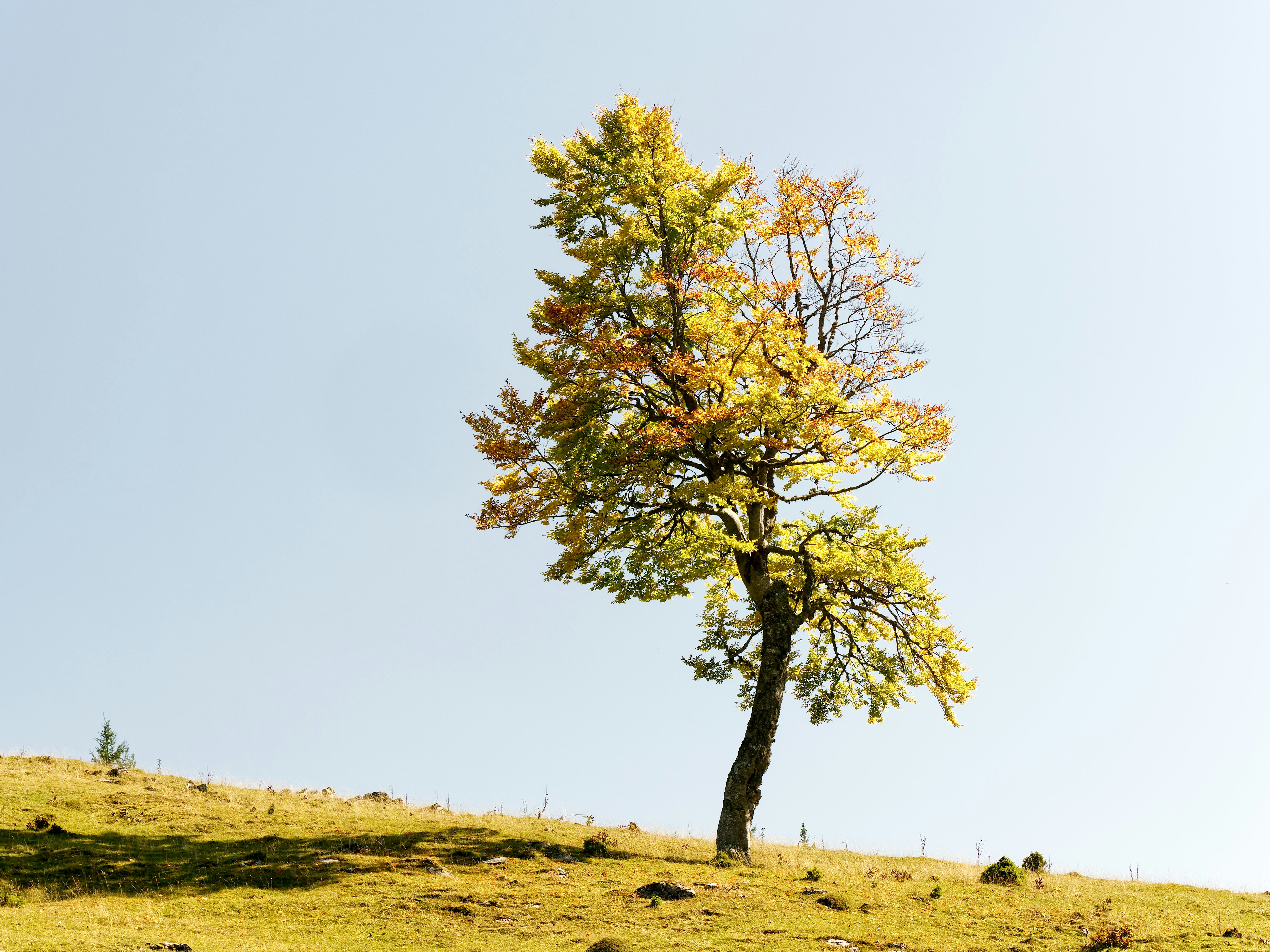 Photo by illes_cristi