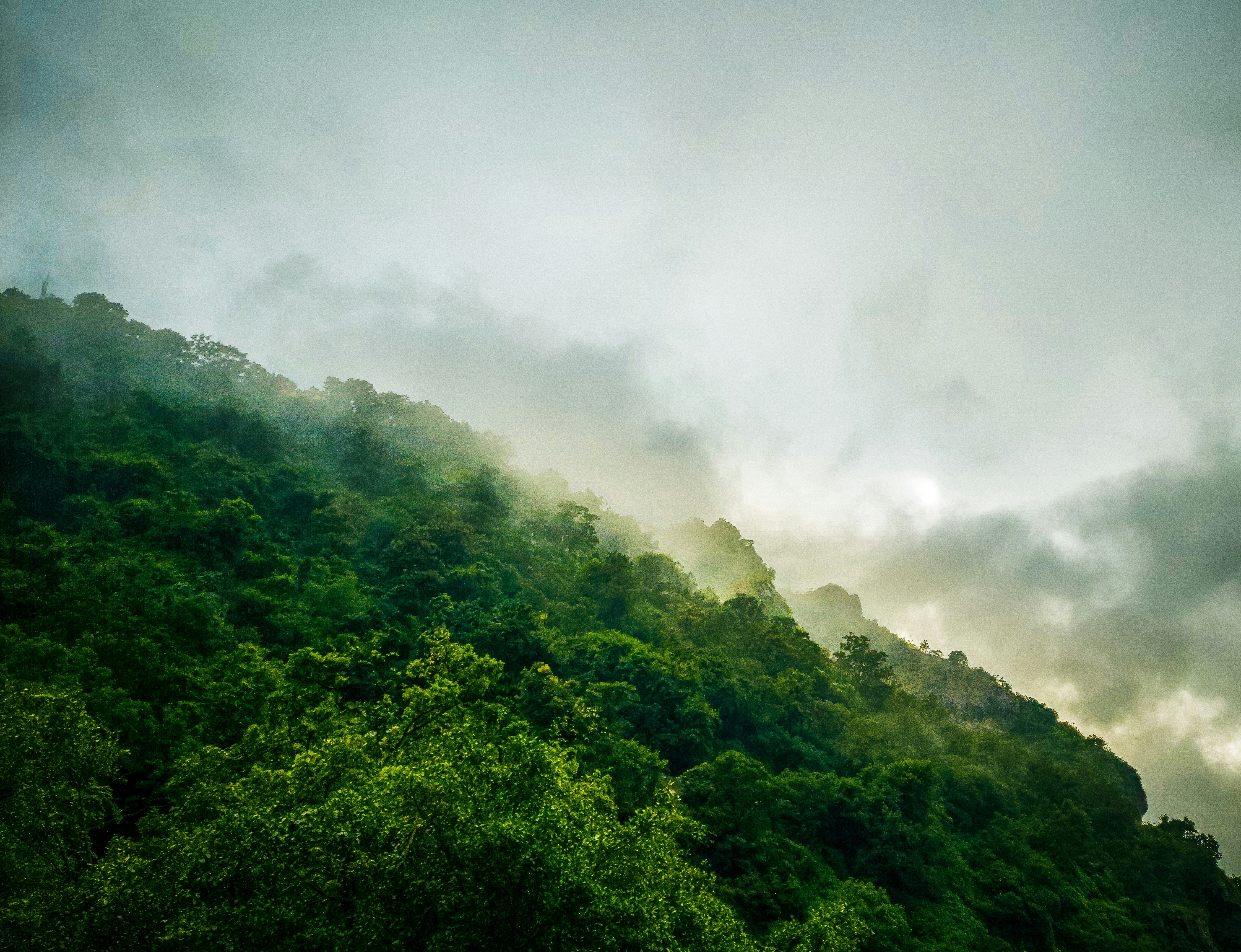 Photo by prithiviraj