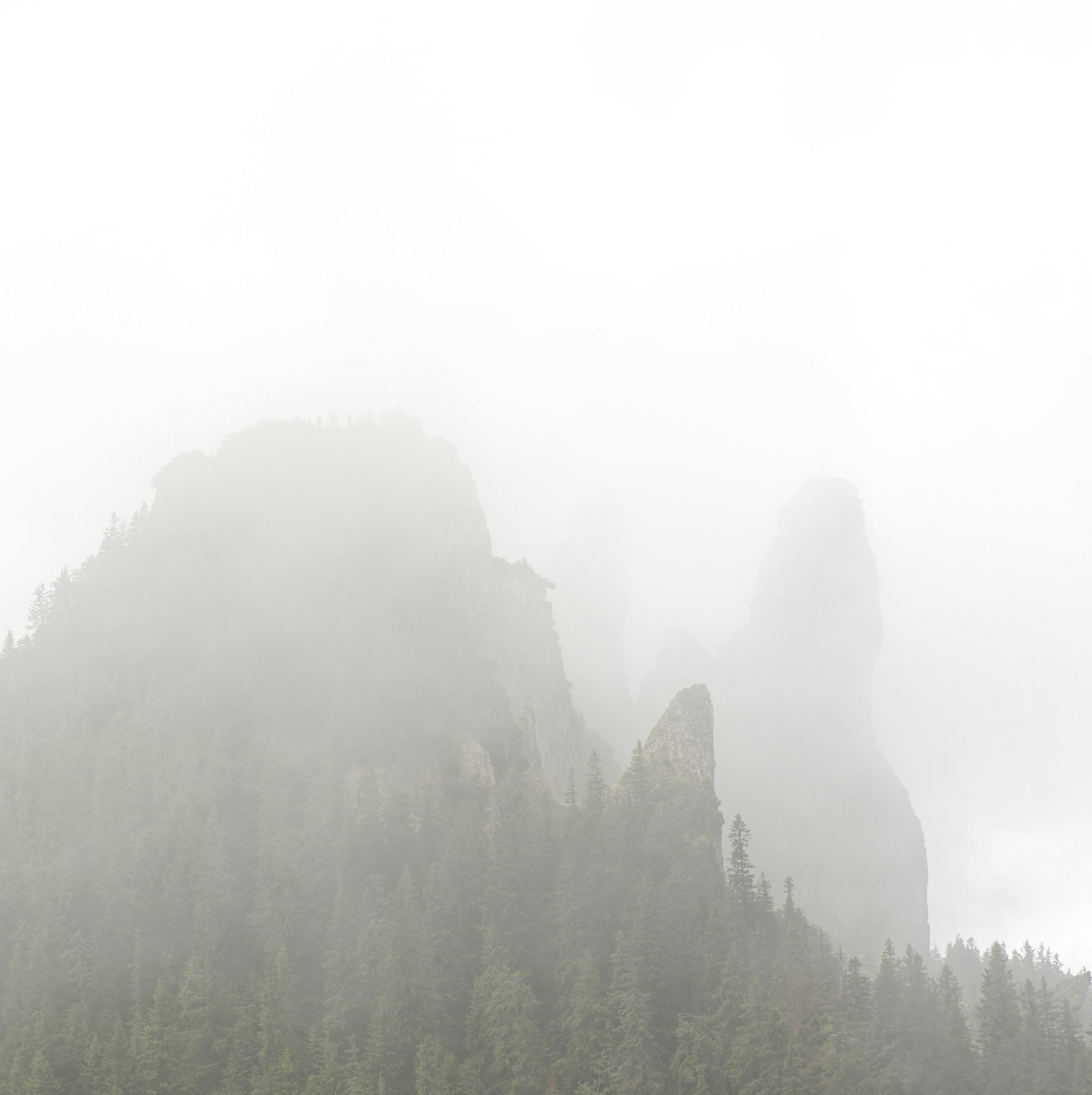 Image 90