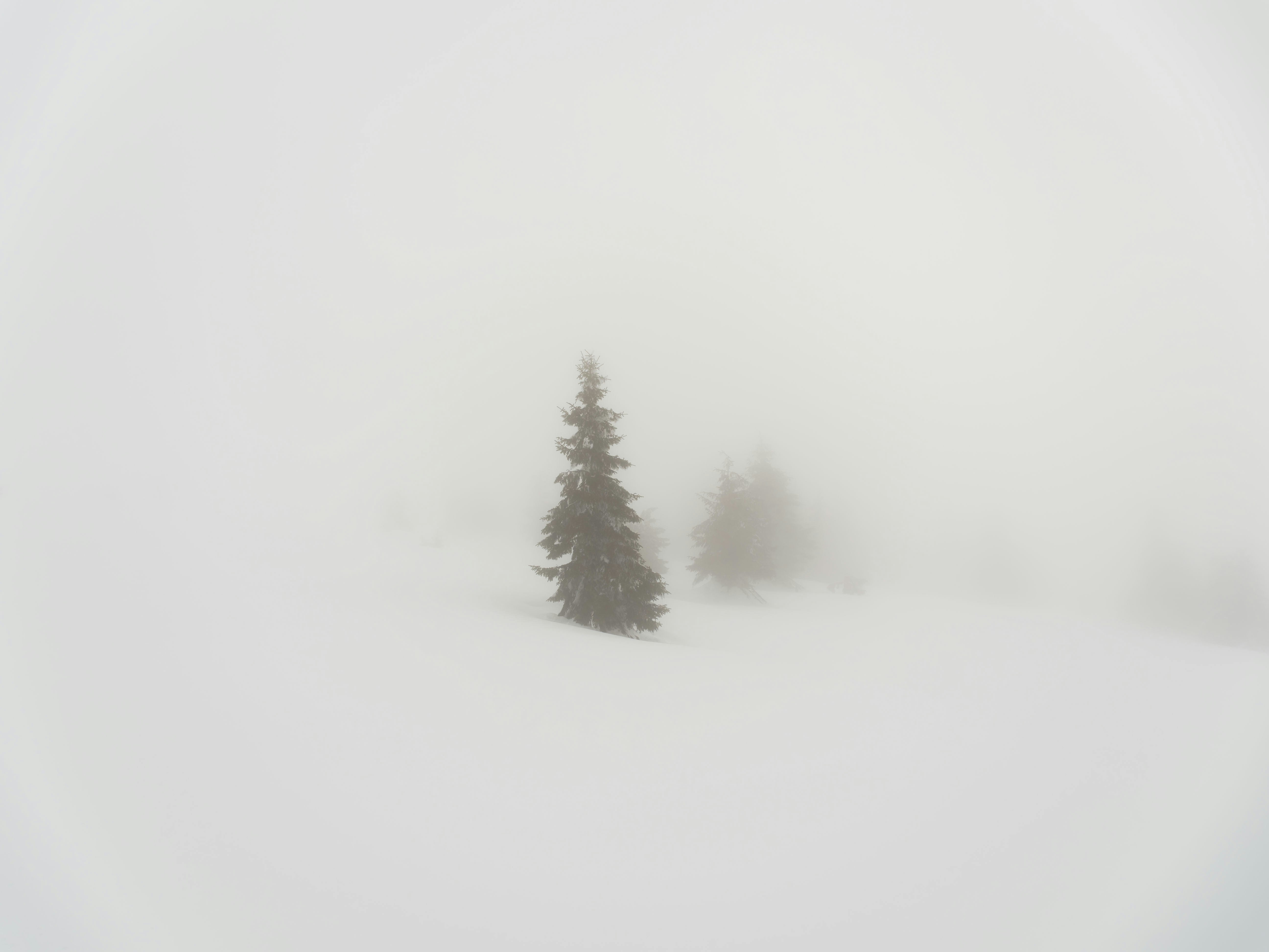Choose from a curated selection of winter photos. Always free on Unsplash.