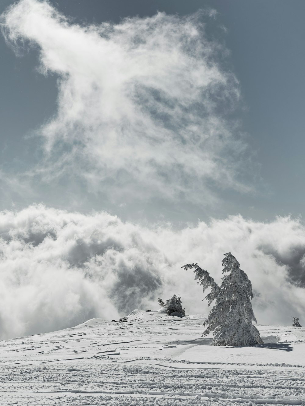 a person riding skis on a snowy surface