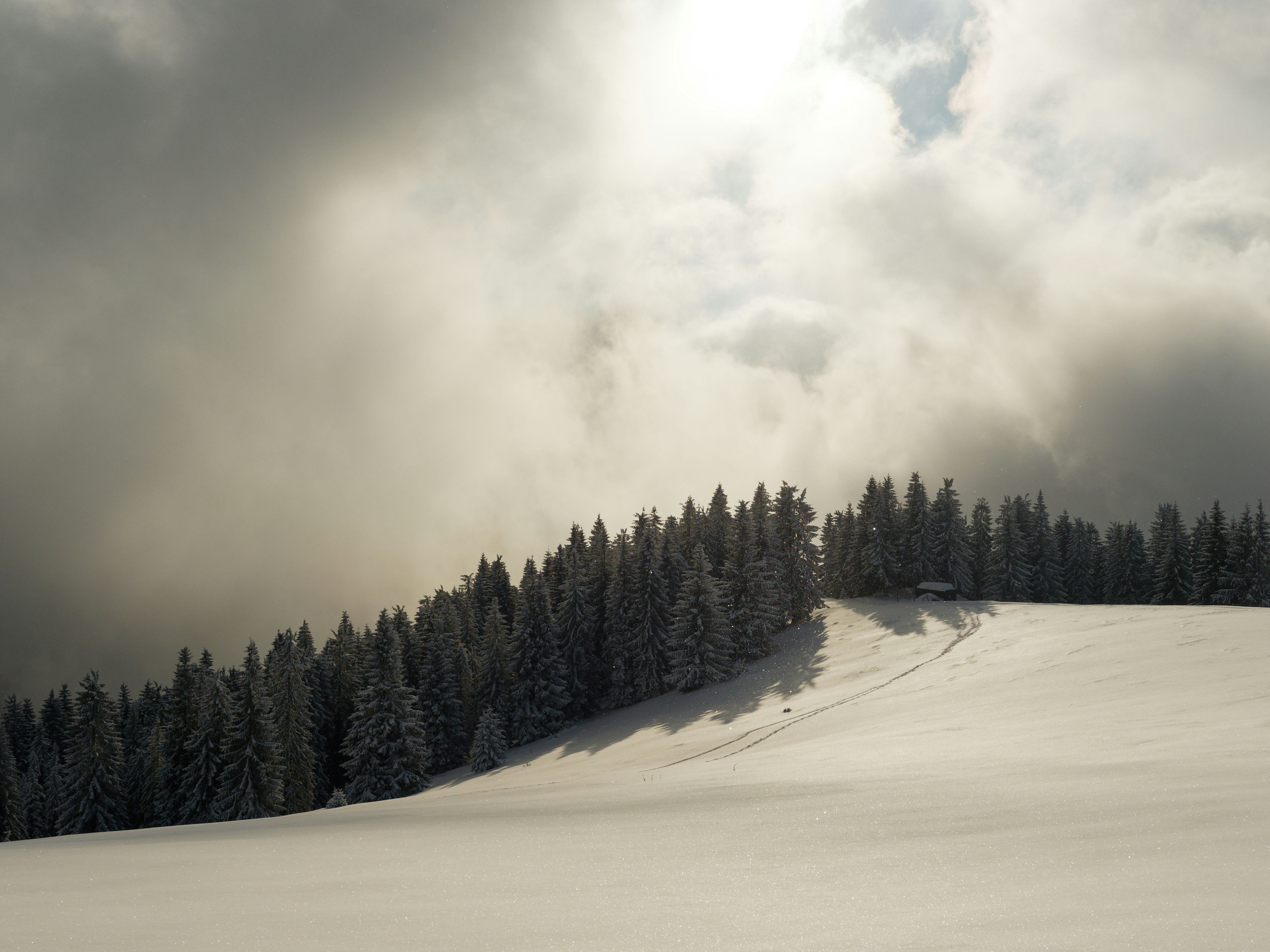 Photo by illes_cristi