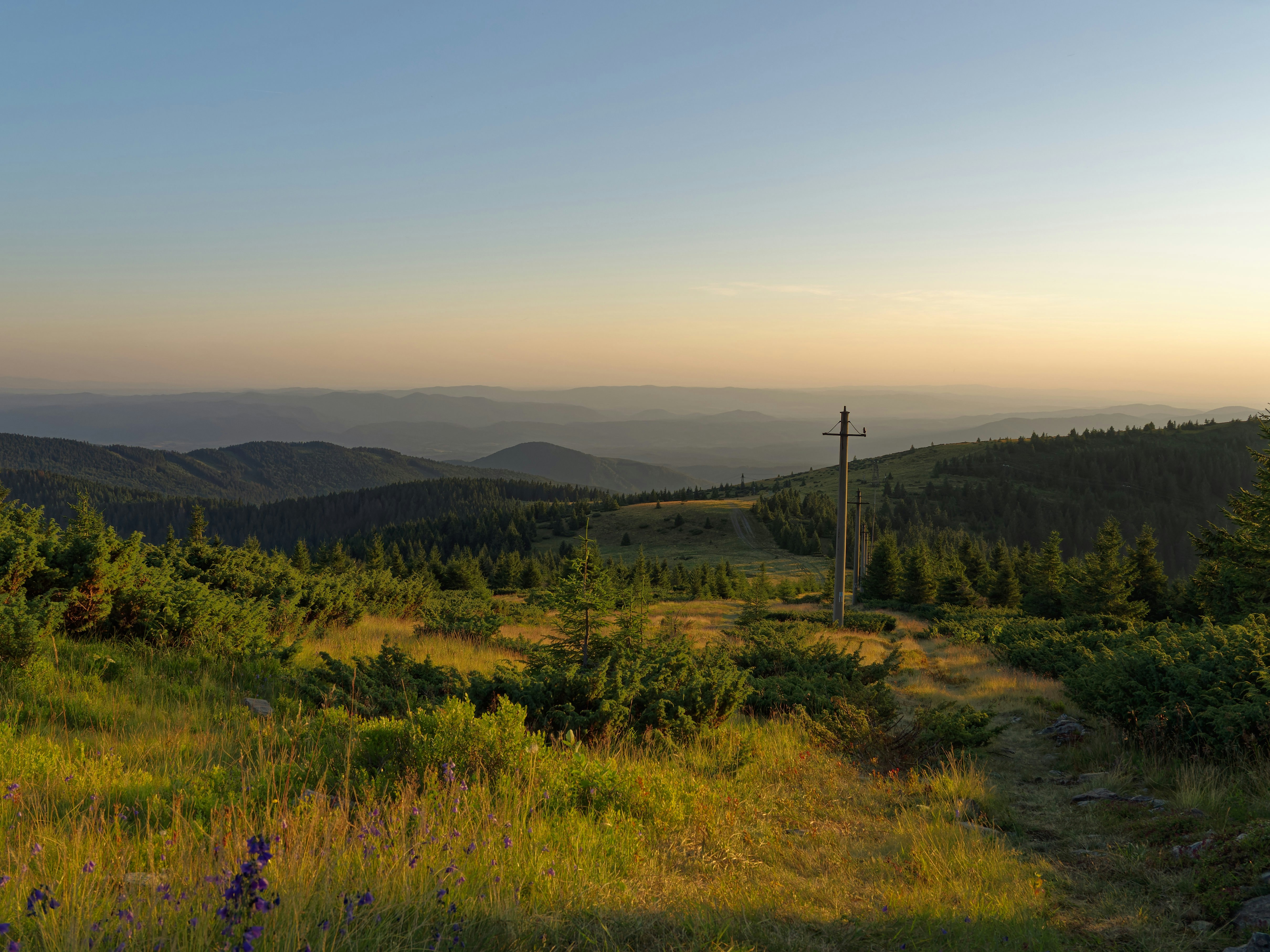 Photo by illes_cristi