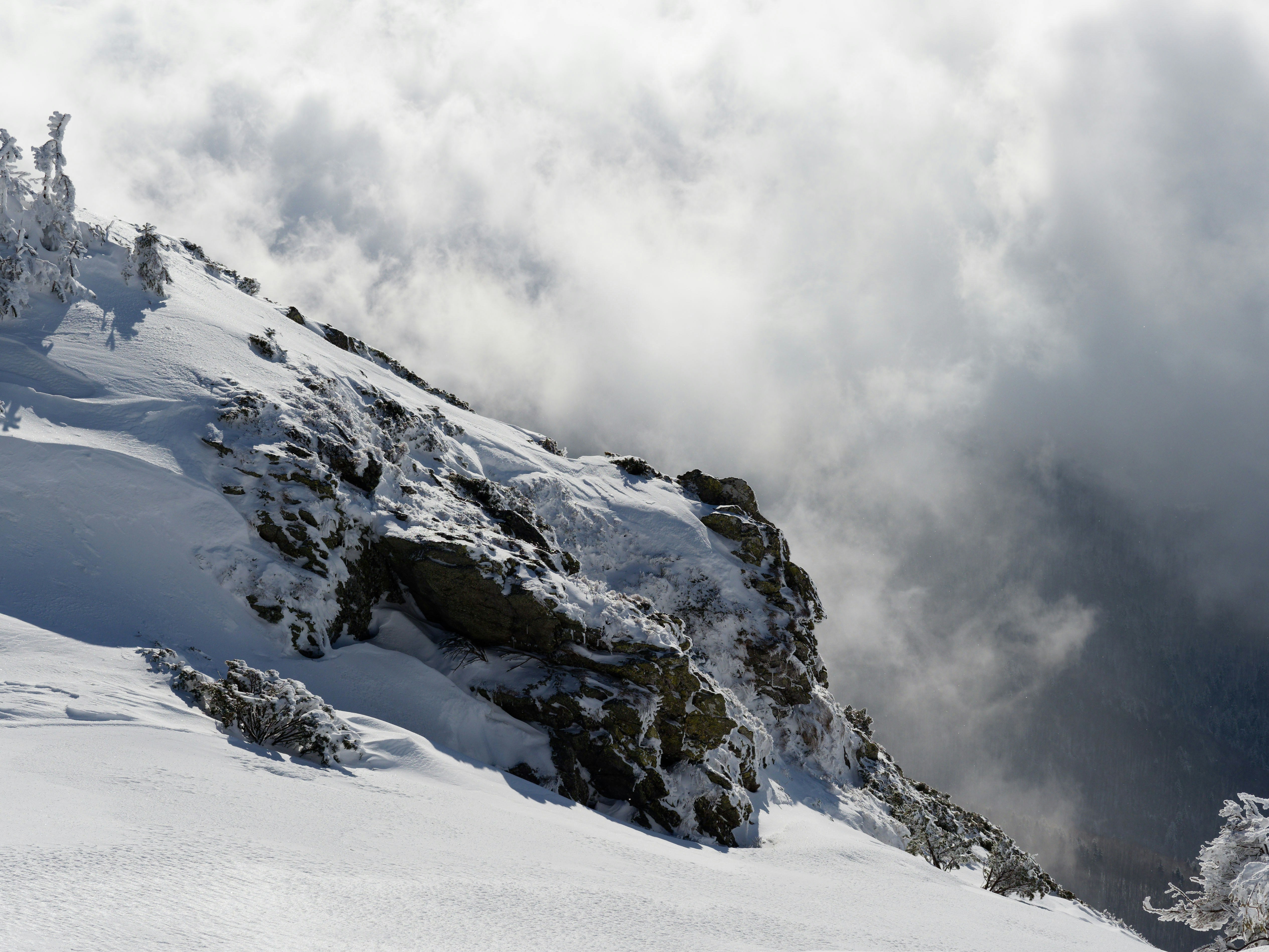 Photo by illes_cristi