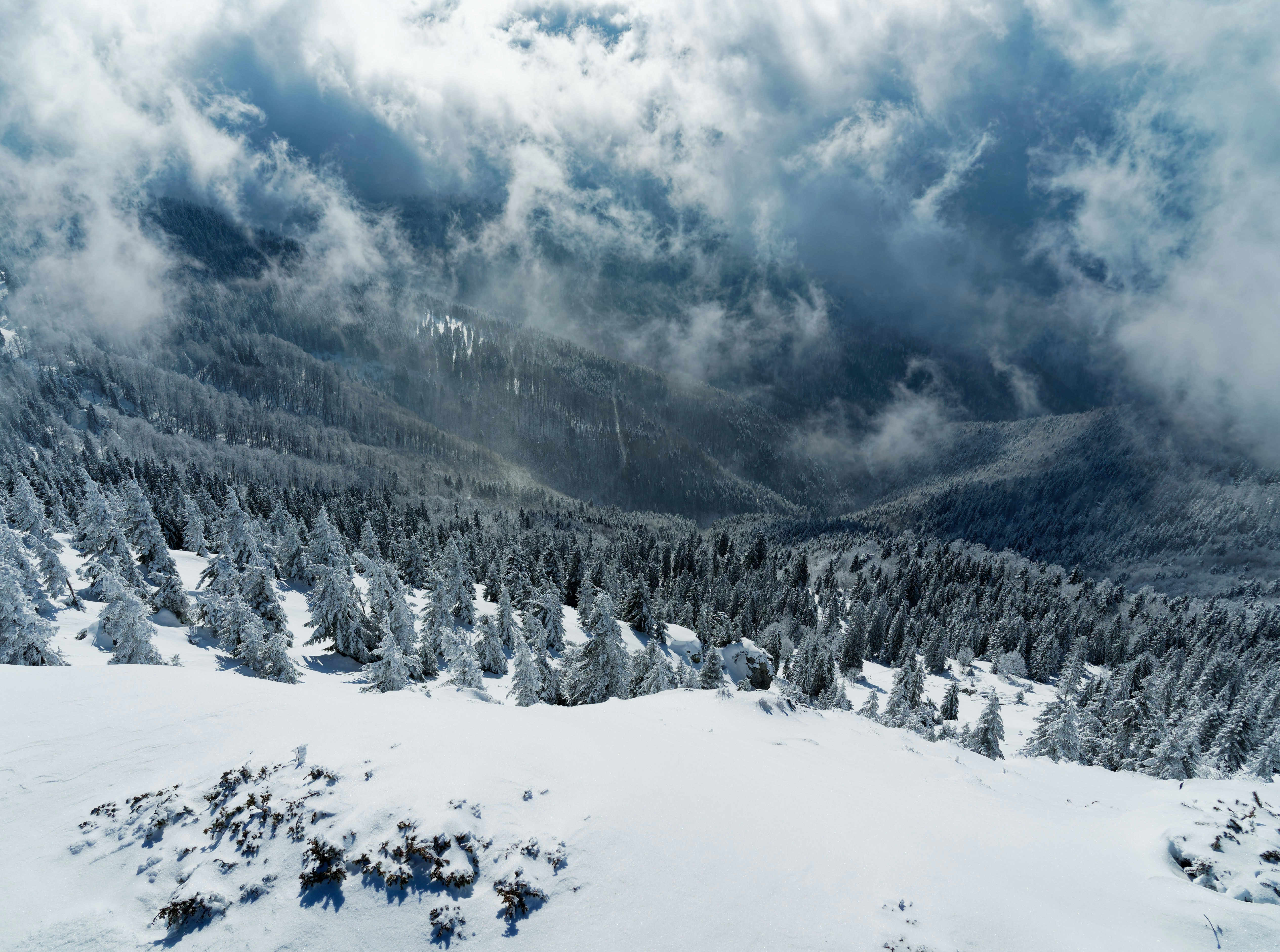 Photo by illes_cristi