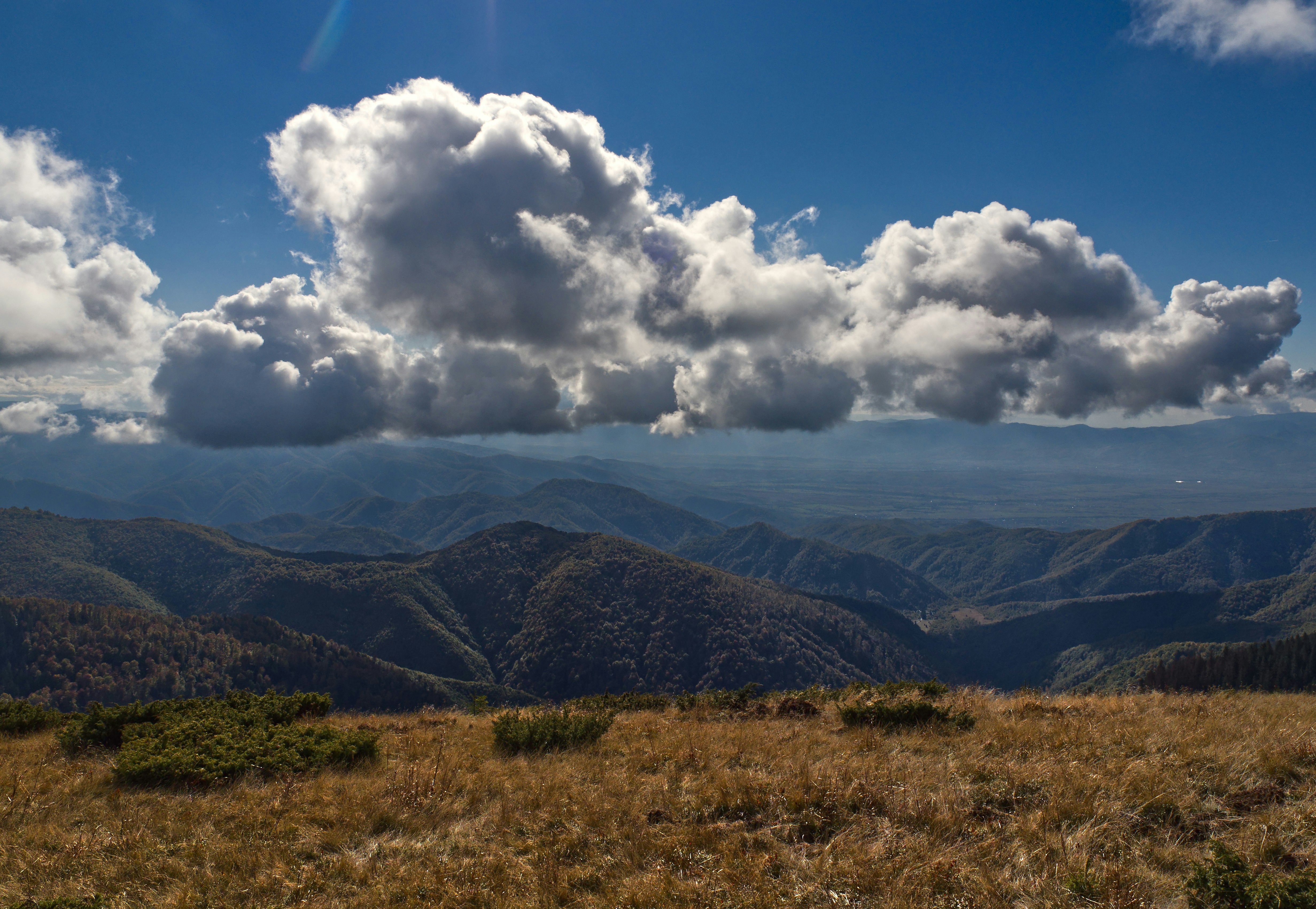 Photo by illes_cristi