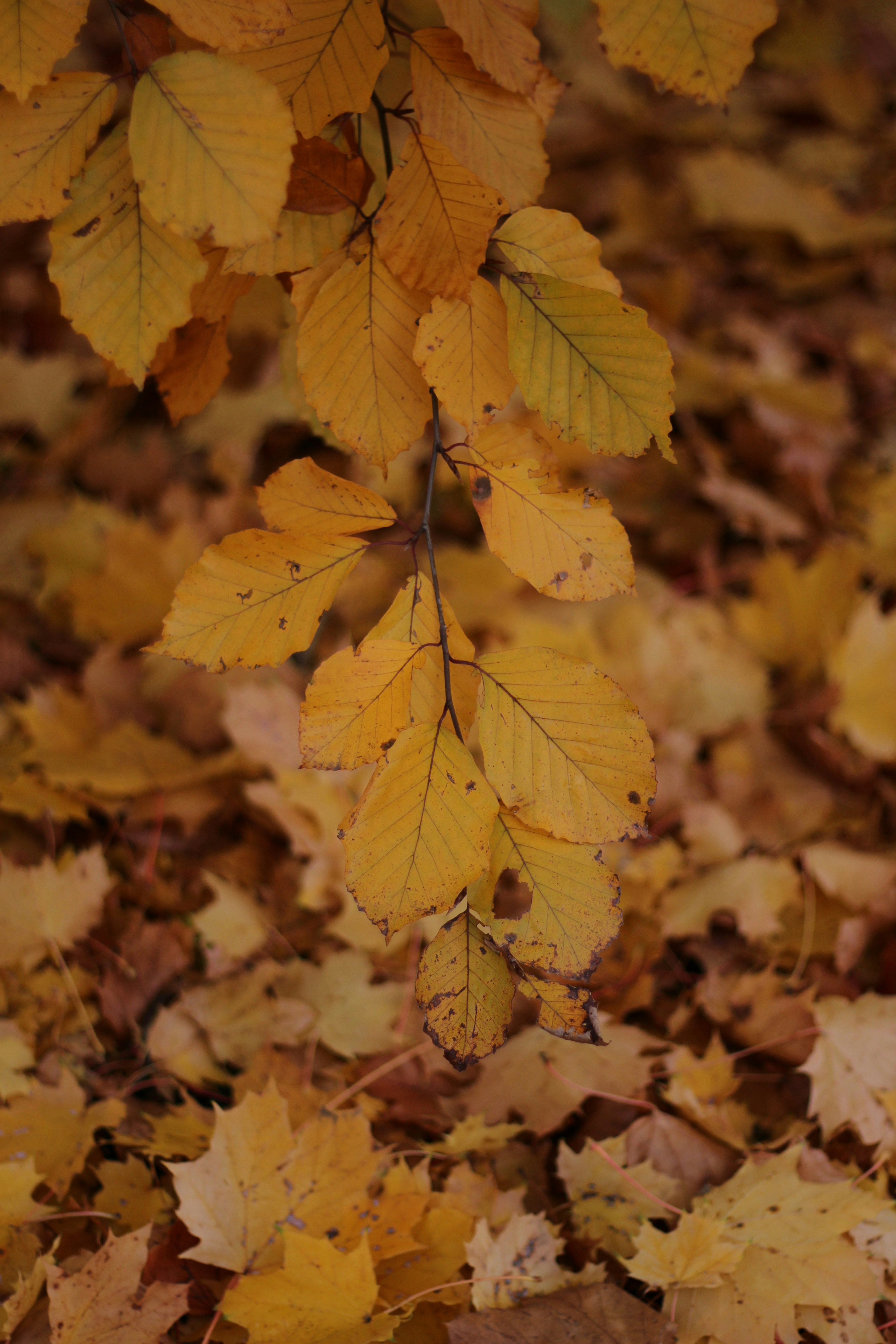 Photo by anna_c_wilhelm