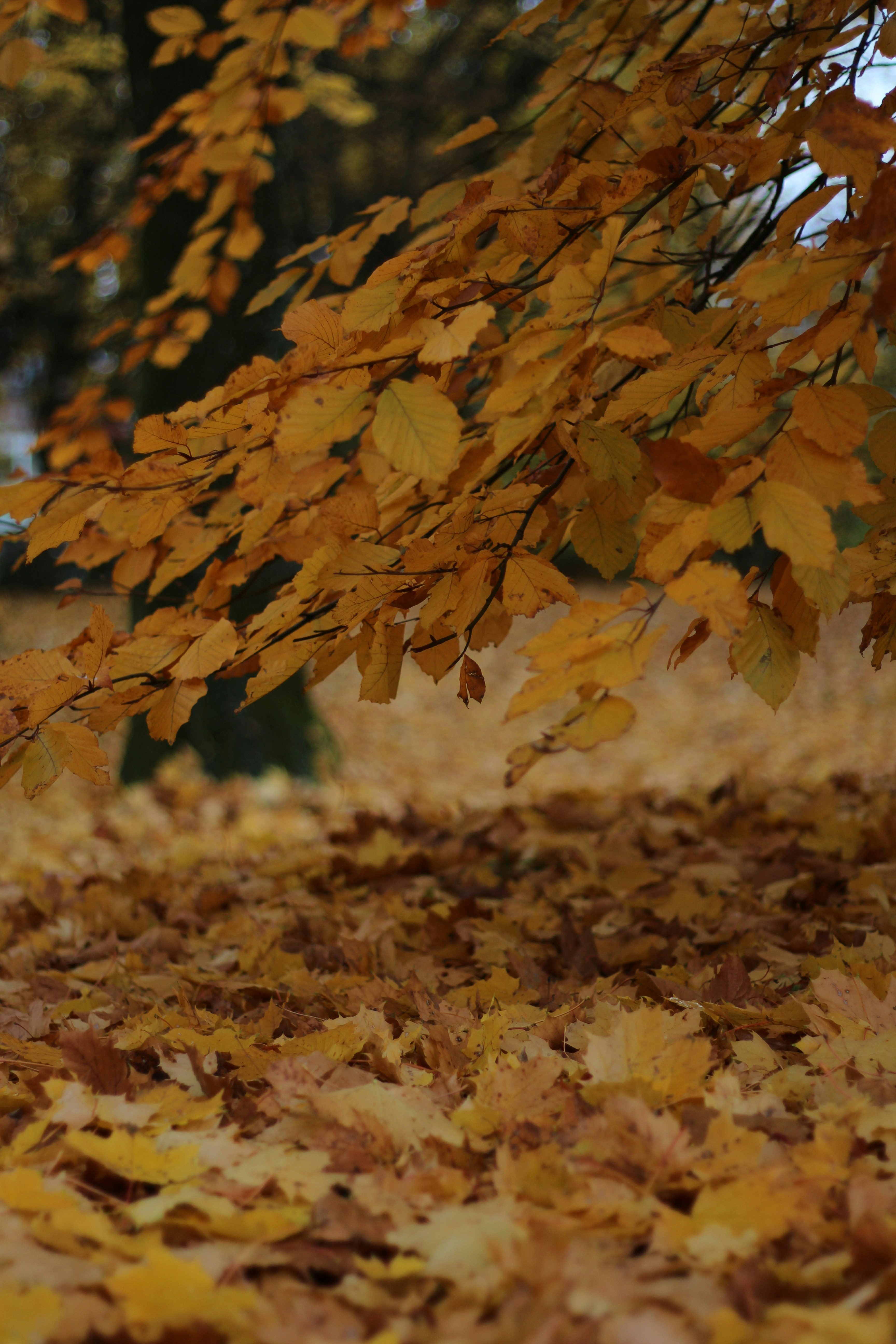 Photo by anna_c_wilhelm