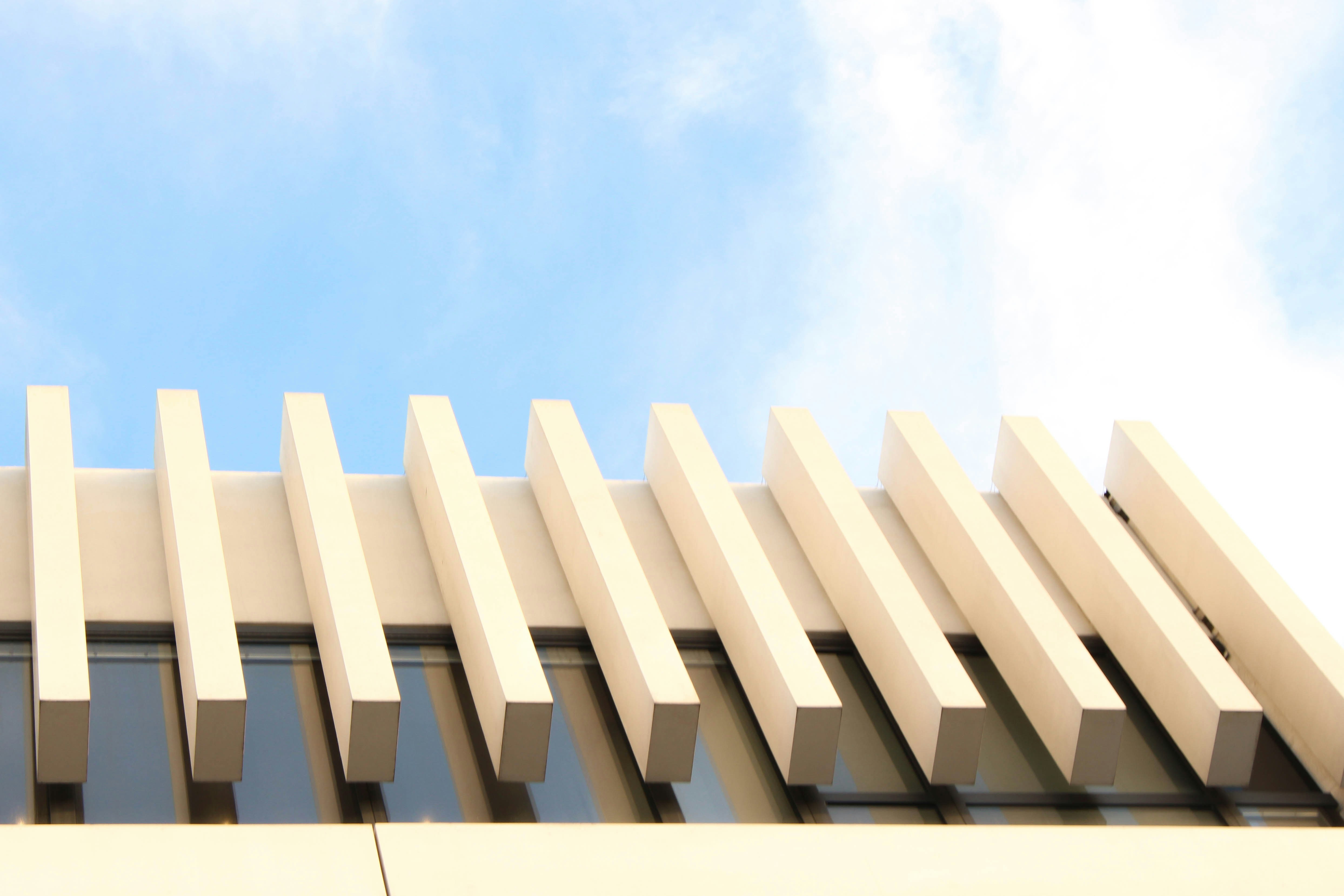 Photo by anna_c_wilhelm