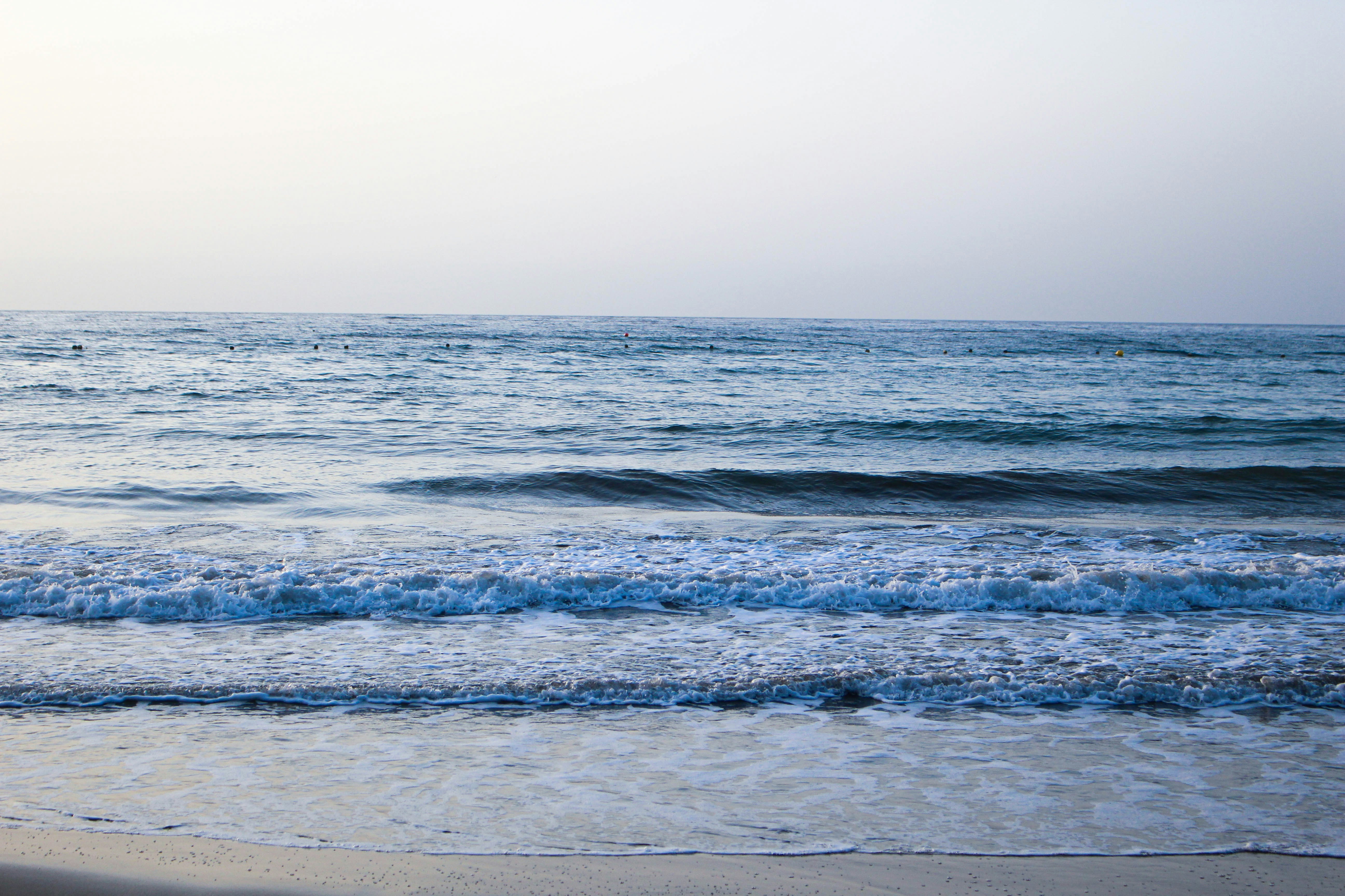 Photo by anna_c_wilhelm