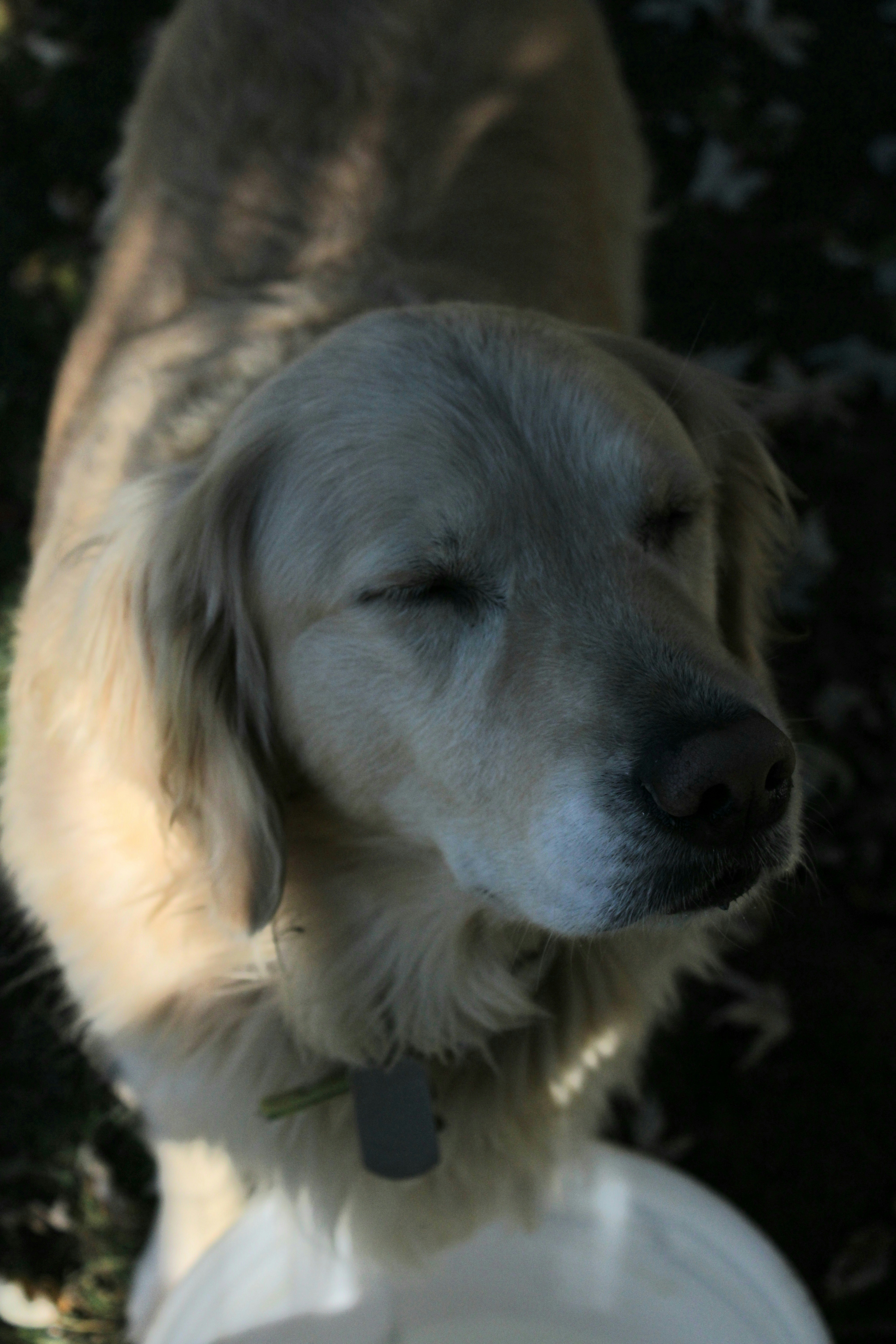 Photo by sadiecoulter