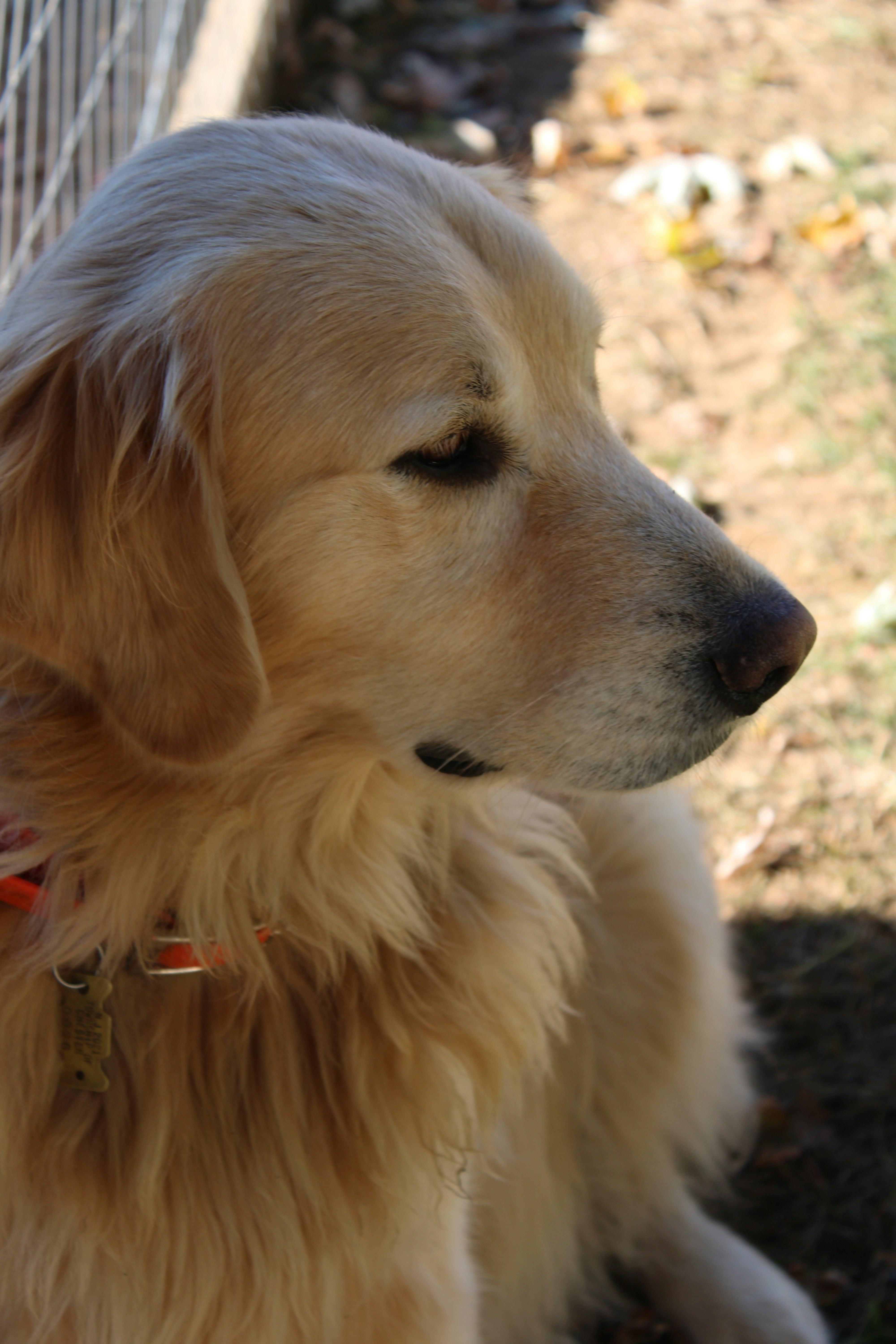 Photo by sadiecoulter