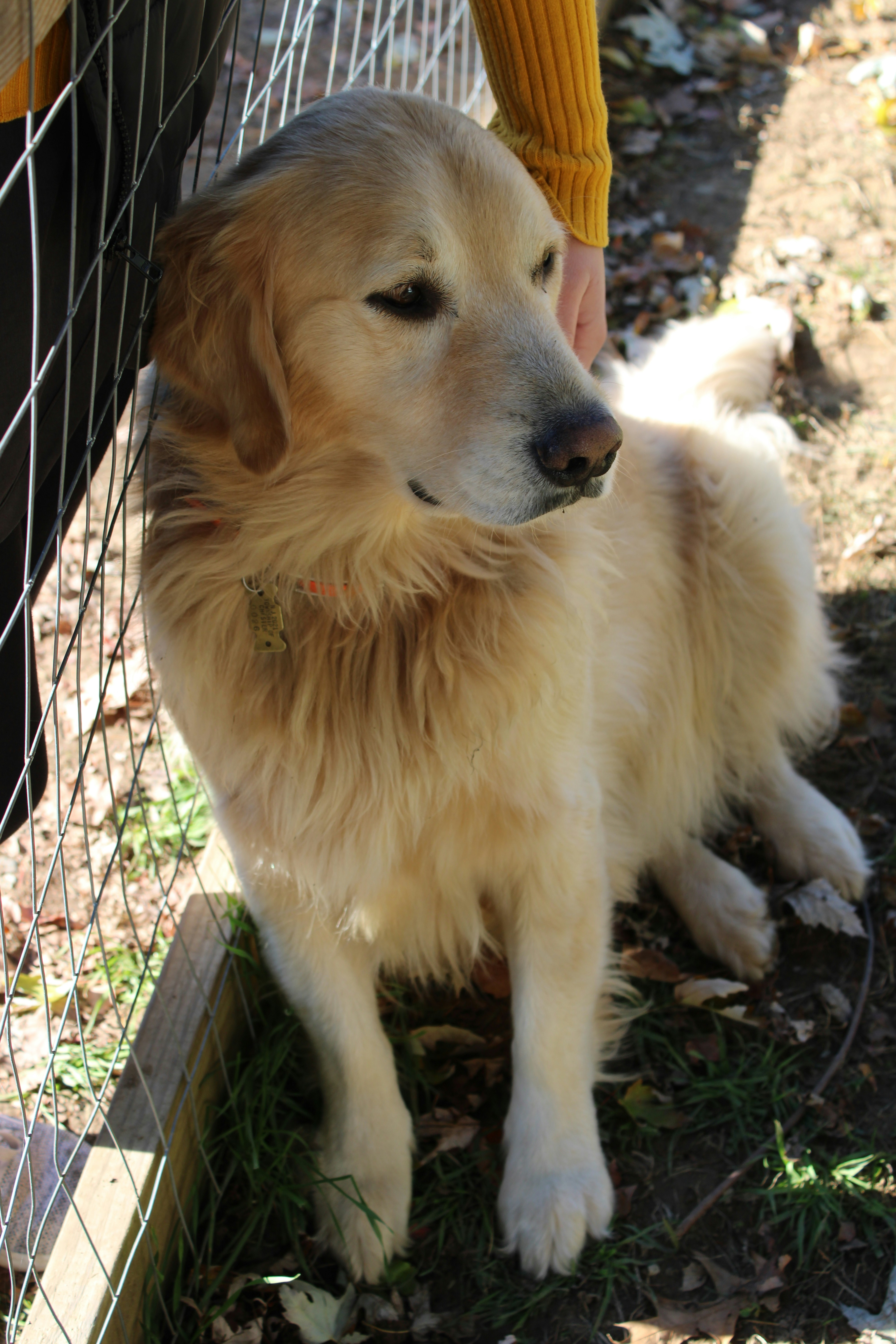 Photo by sadiecoulter