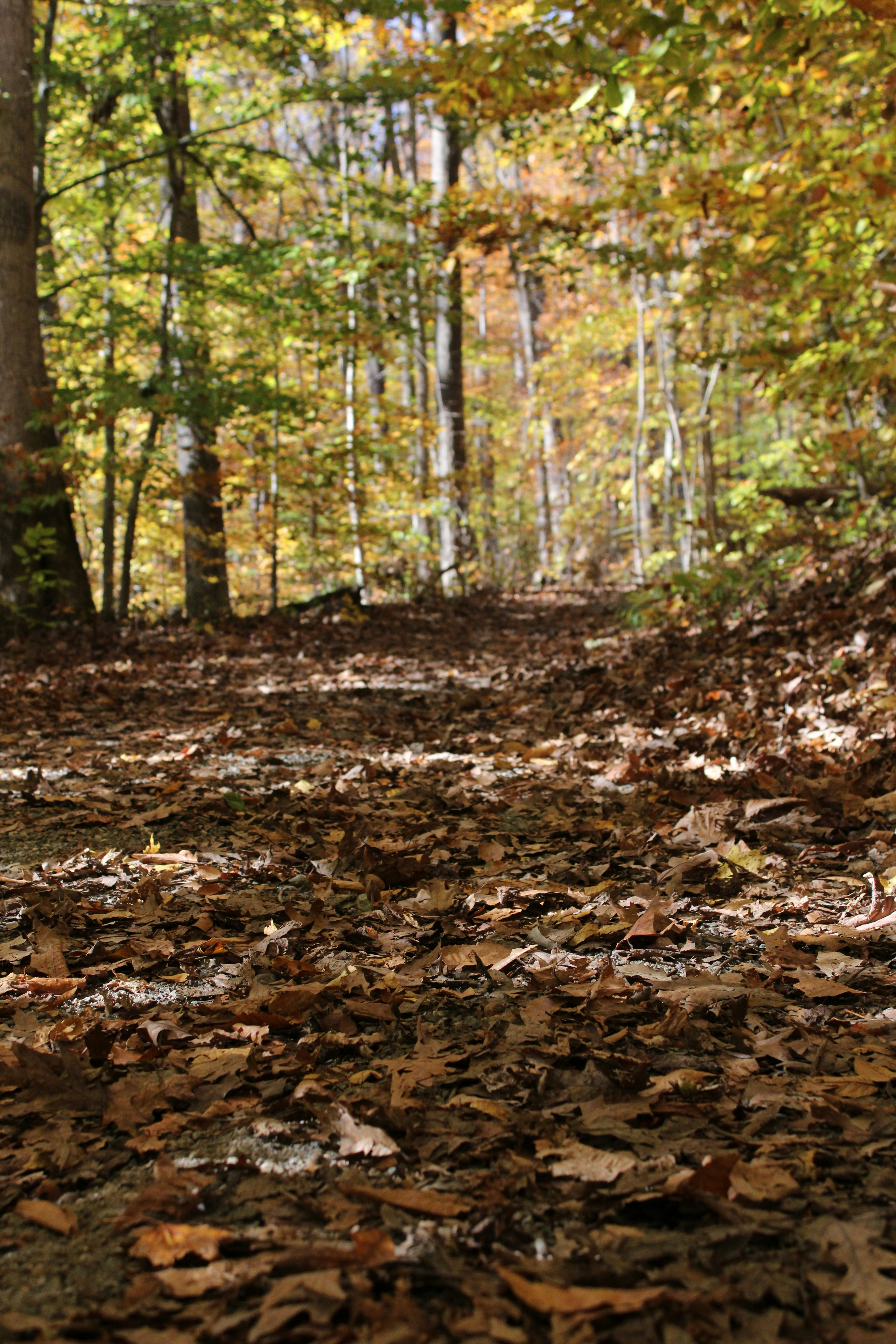 Photo by sadiecoulter