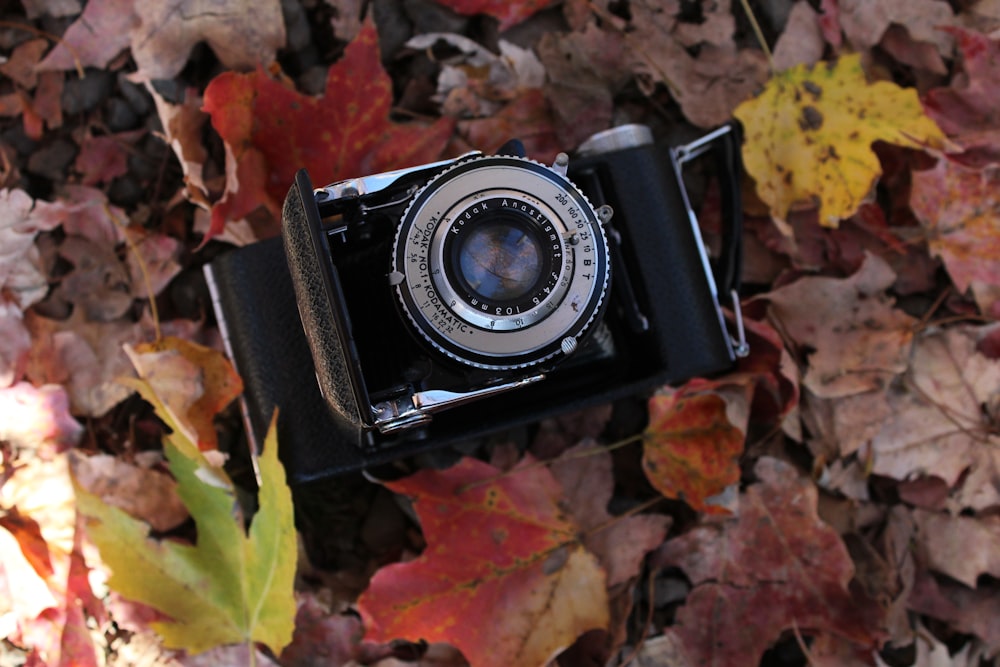 a camera sitting on top of a pile of leaves