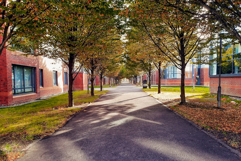 a street lined with trees next to a brick building