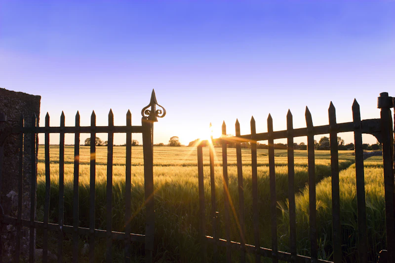 fence installation in Los Angeles, California