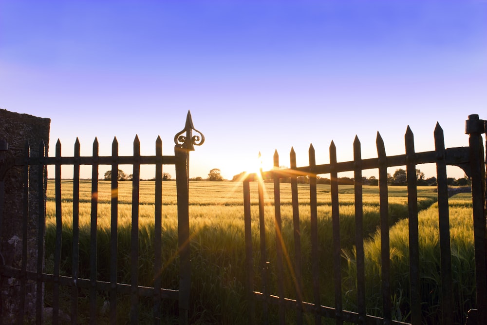 o sol está se pondo atrás de uma cerca em um campo