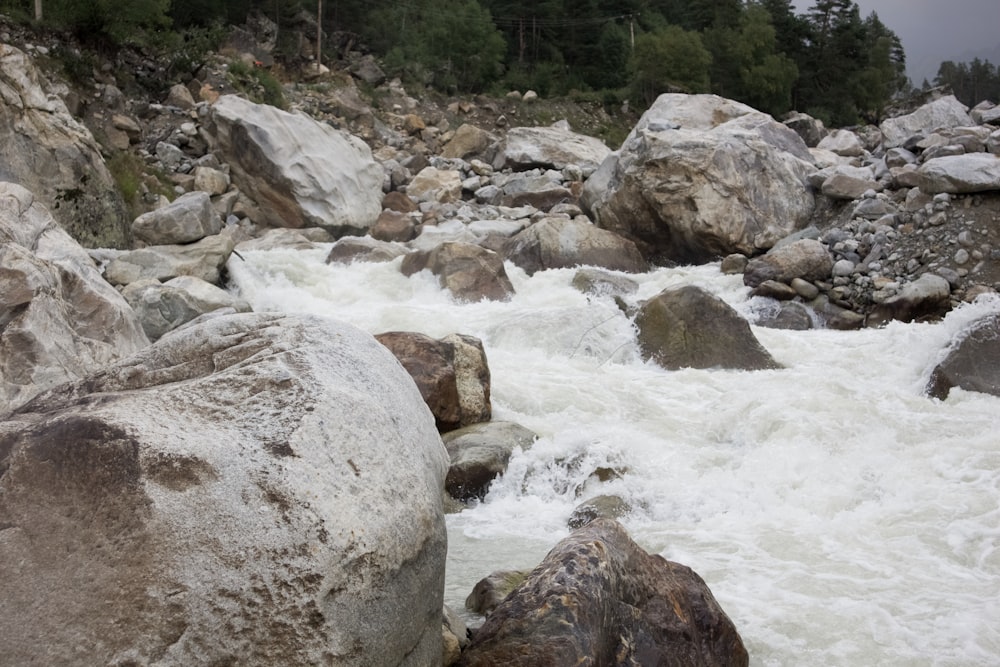 a man standing on a rock next to a river