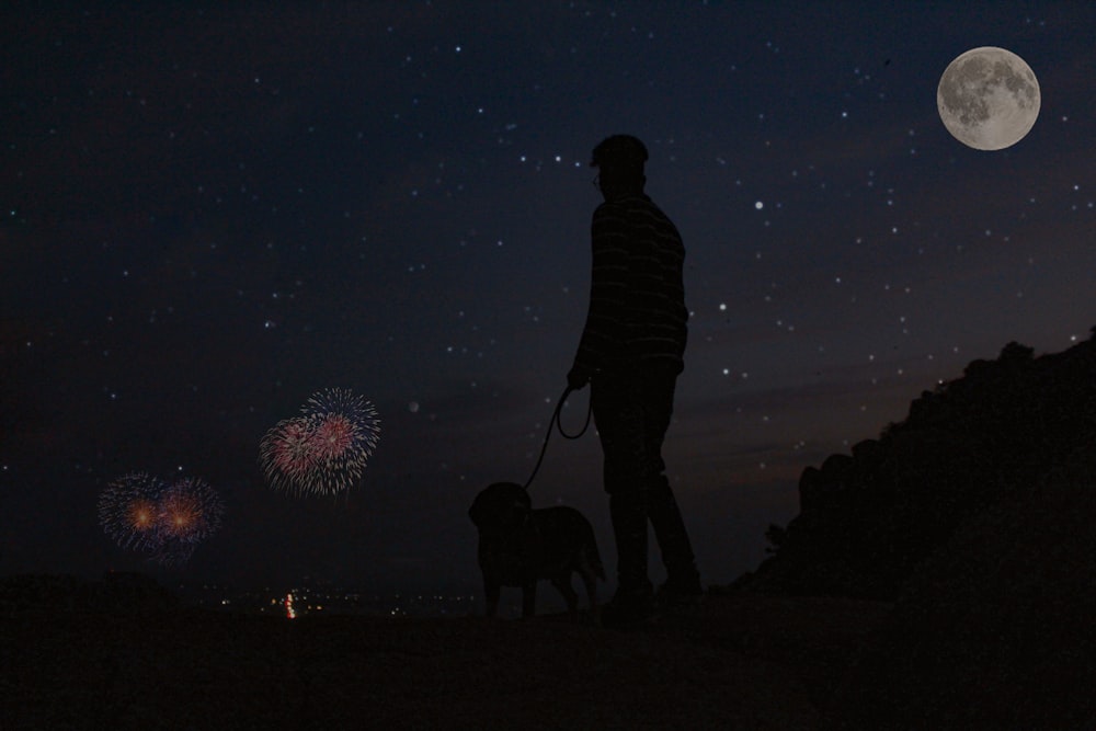 a man and his dog watching the fireworks