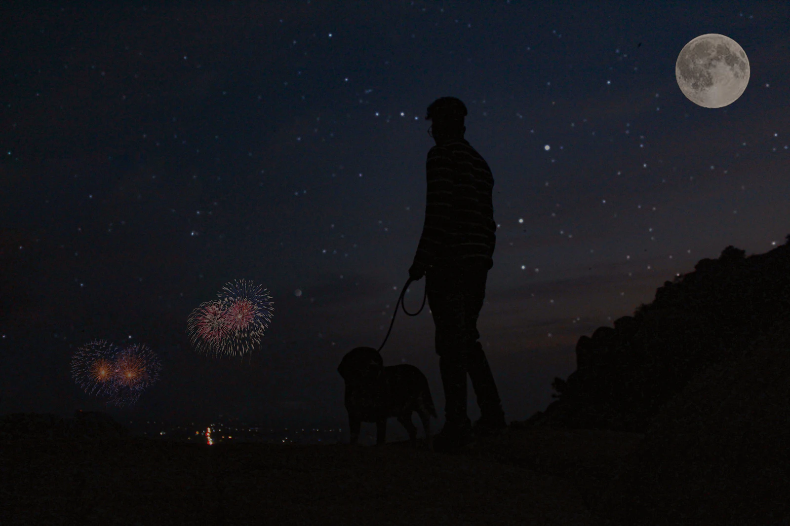 A man and his dog watching fireworks in the night sky