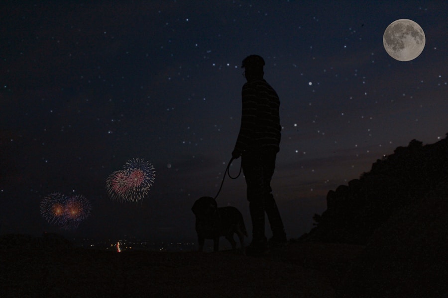 Why Are Dogs Scared of Fireworks? And How to Help Them Cope