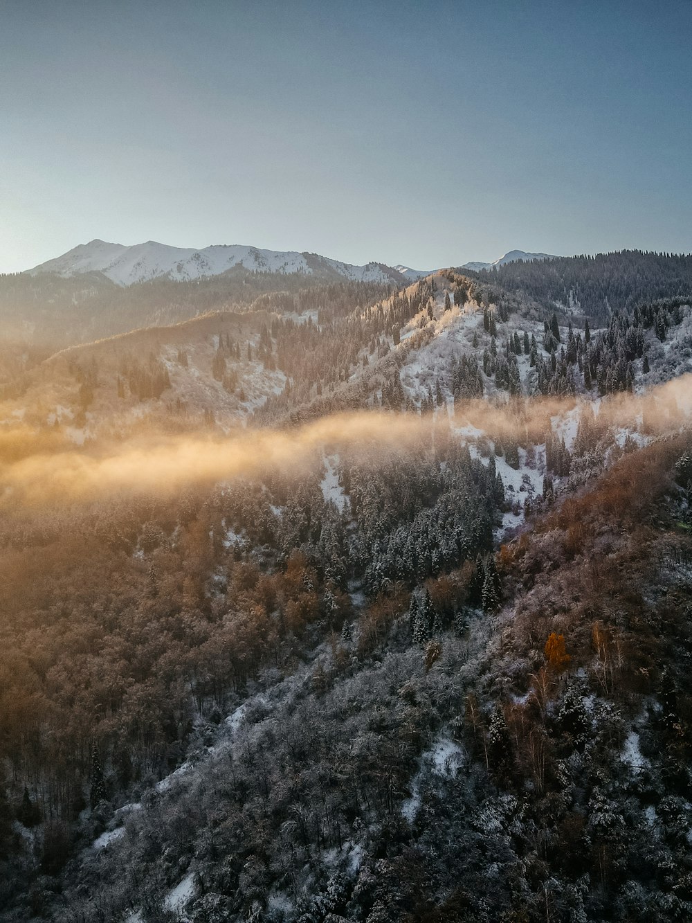 a mountain covered in snow next to a forest