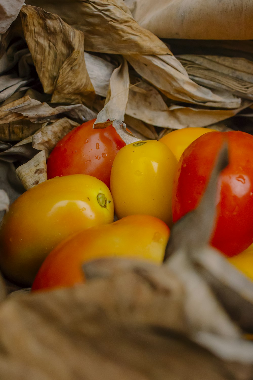 um monte de tomates de cores diferentes em uma cesta