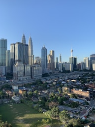 a view of a large city with tall buildings