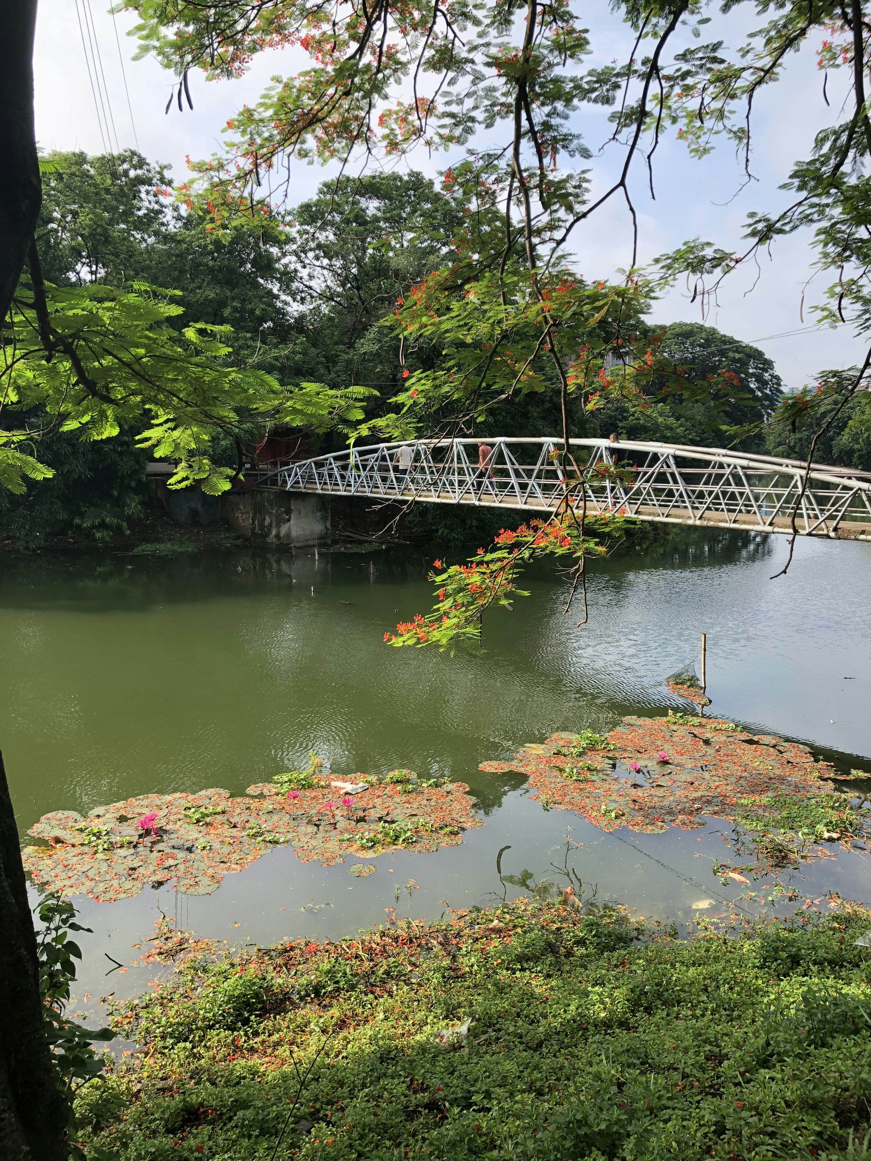 Photo by salmankhalid