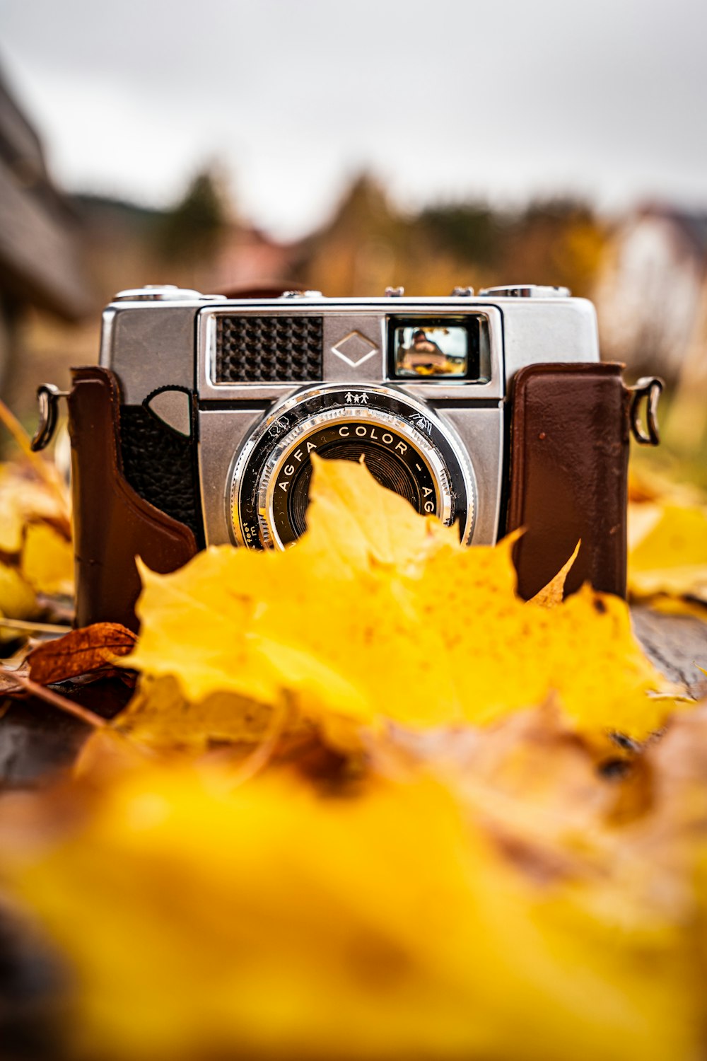 a camera sitting on top of a leaf covered ground