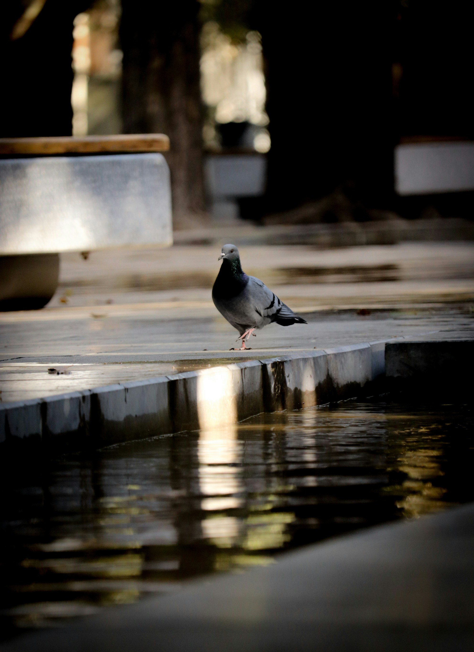 Photo by sinabahar76