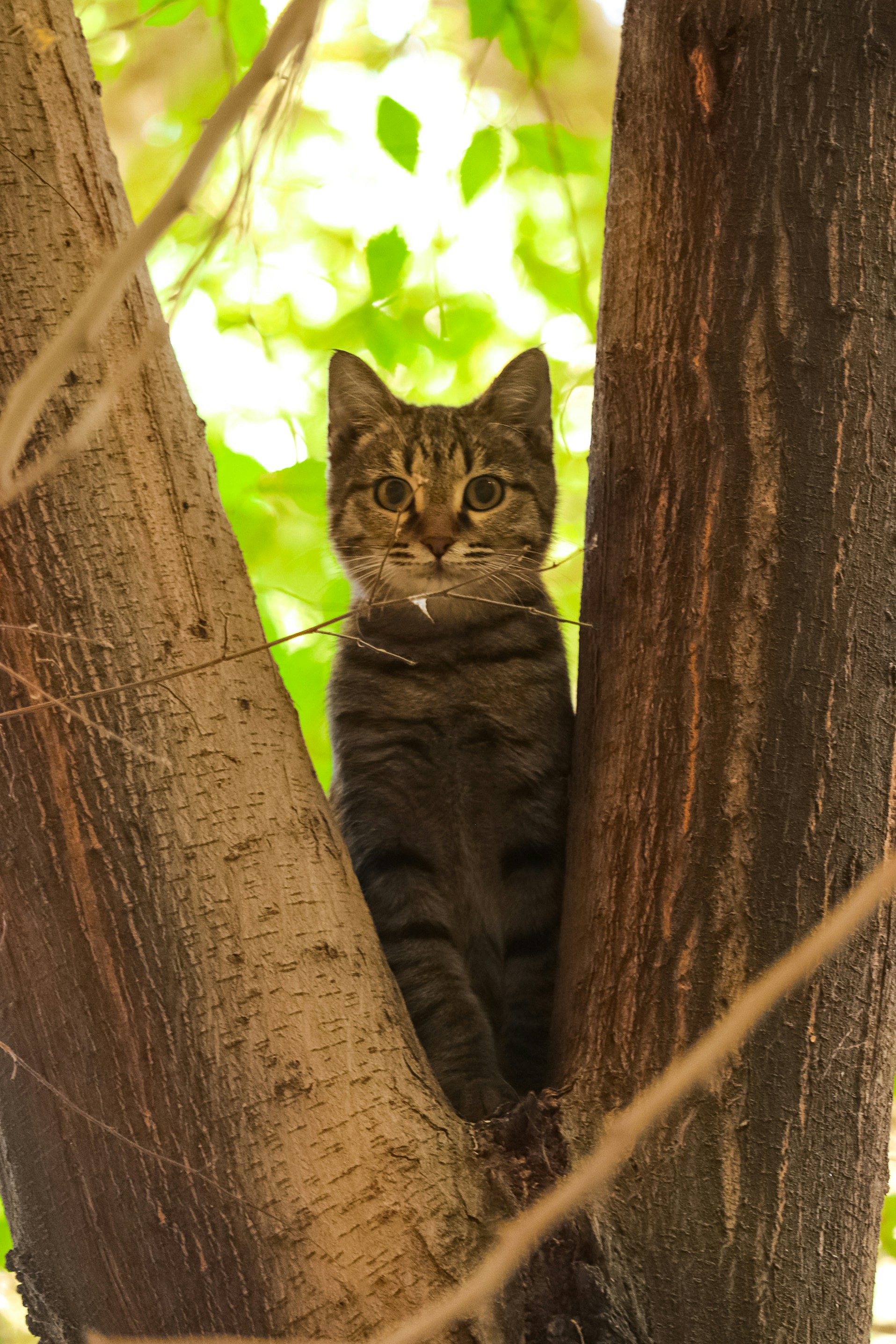 Photo by sinabahar76